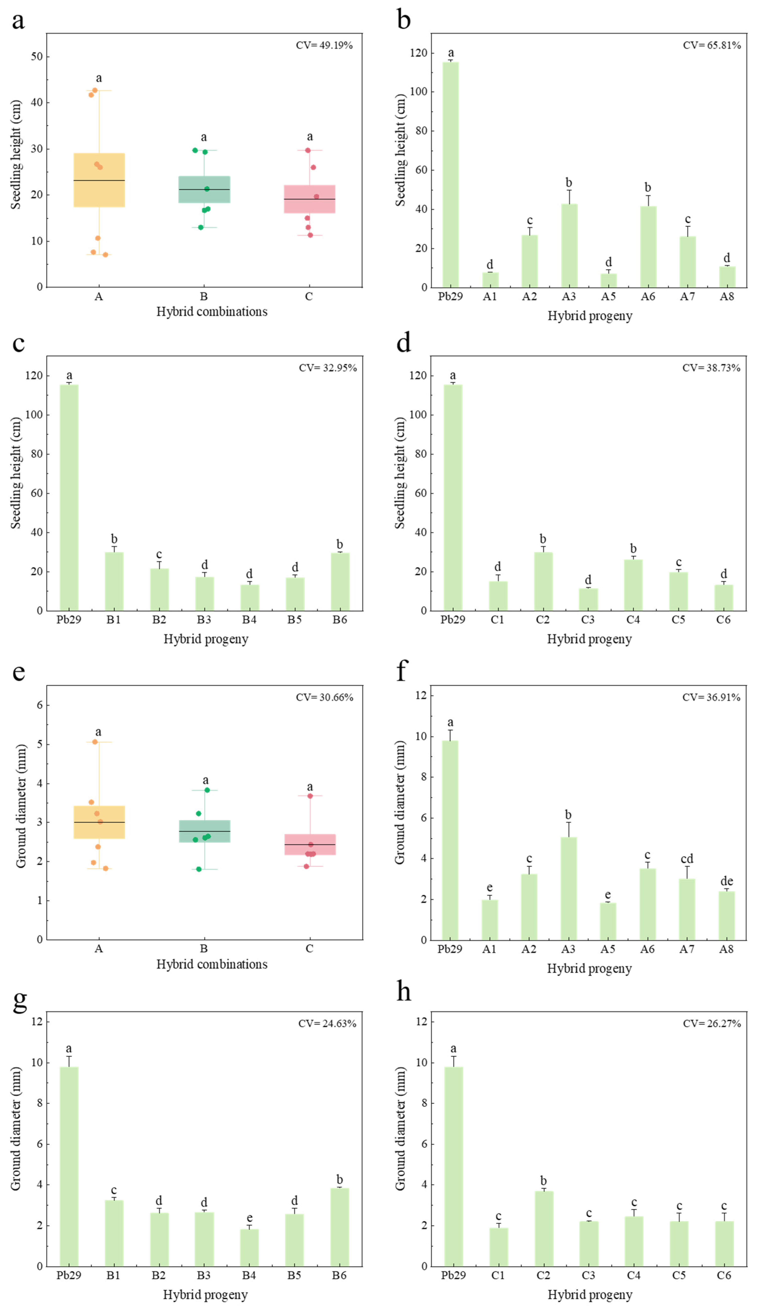 Plants 14 02563 g002