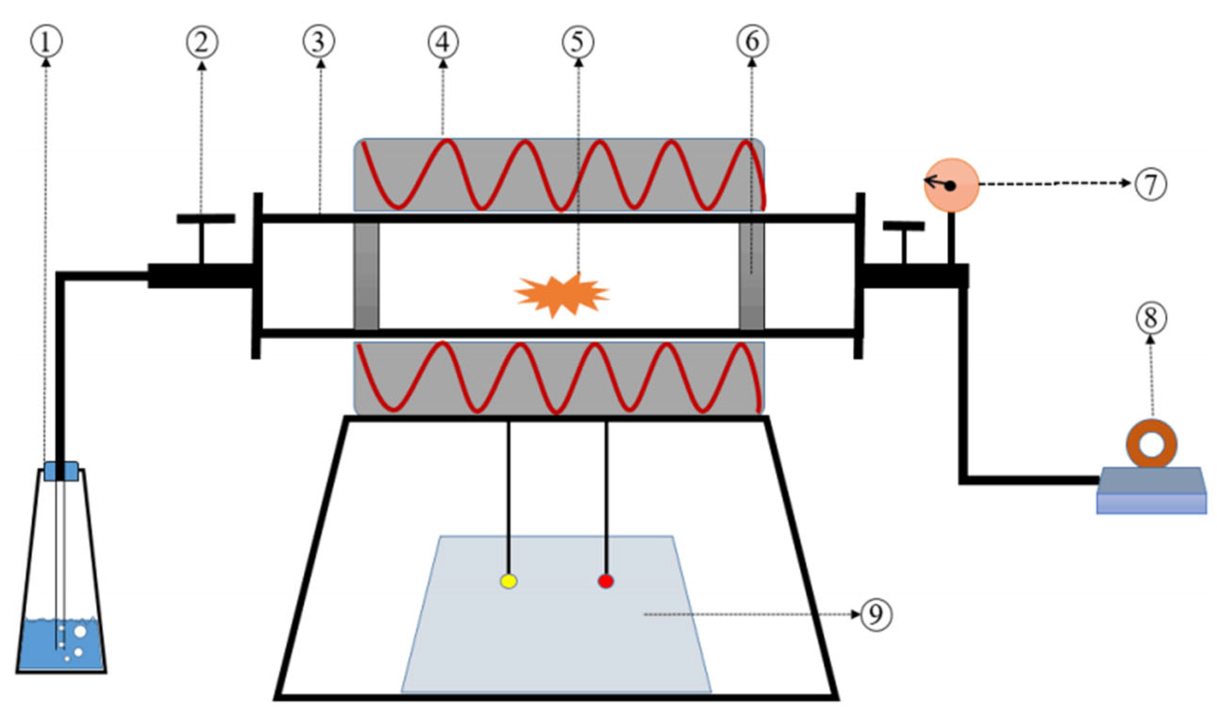 Plants 14 02564 g001 Plants 14 02564 g001