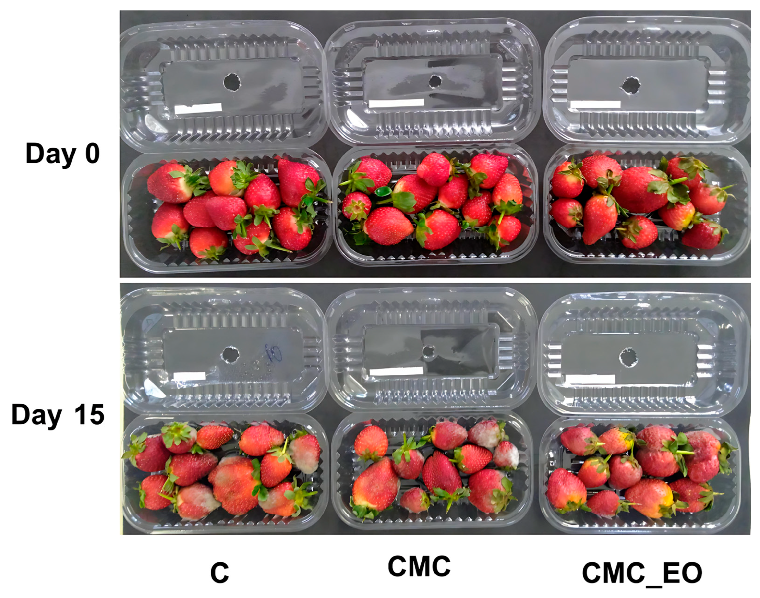 Plants 14 02565 g005