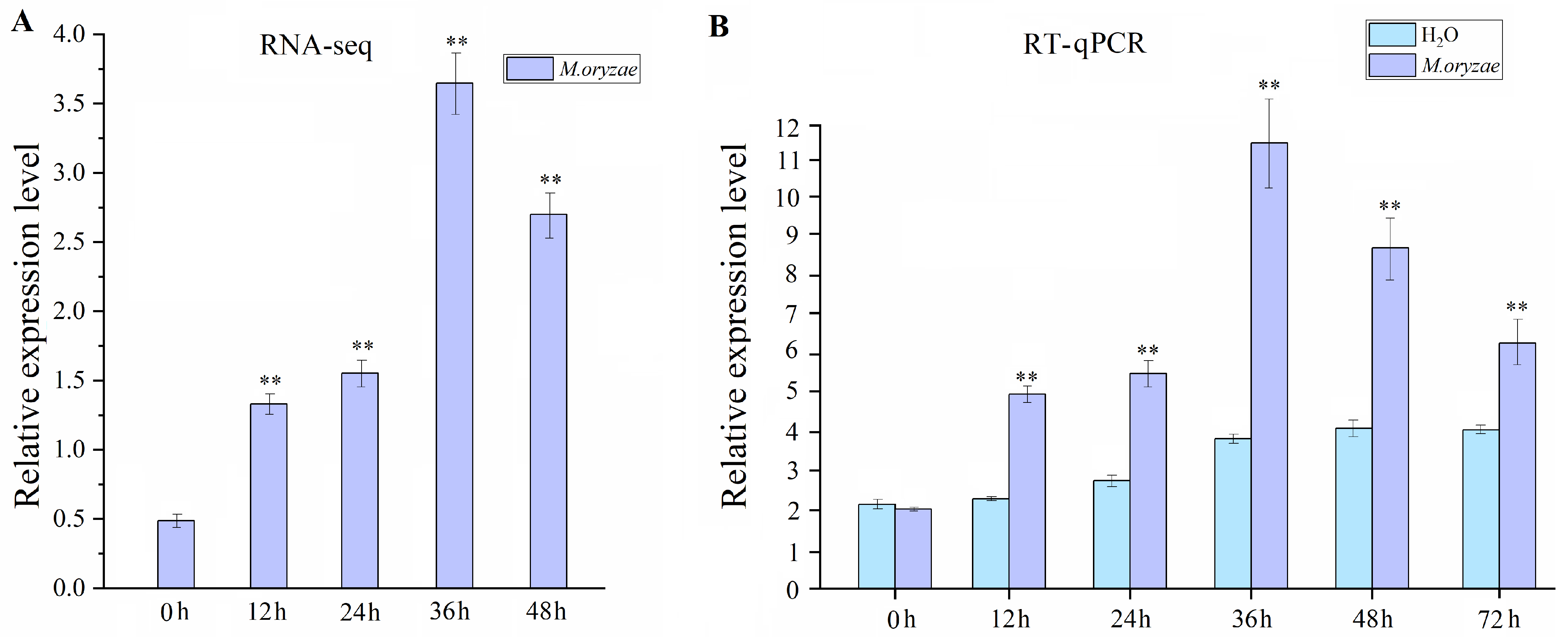 Plants 14 02566 g001