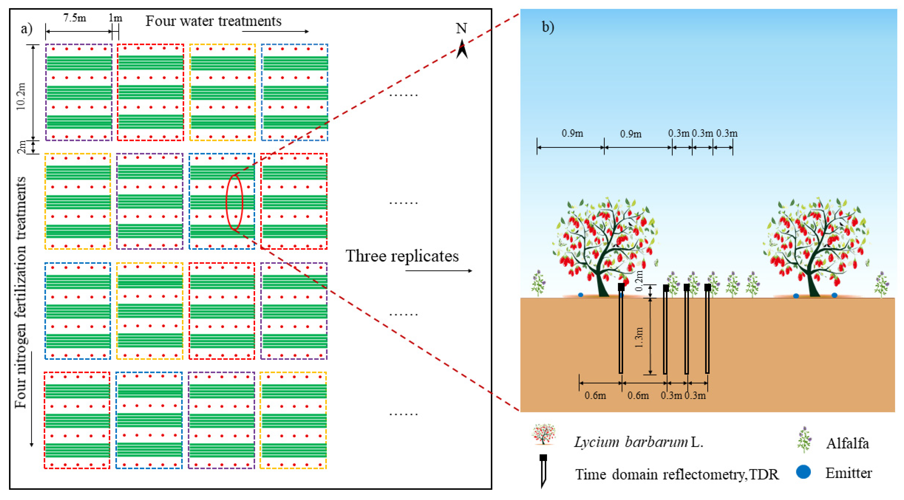 Plants 14 02572 g009