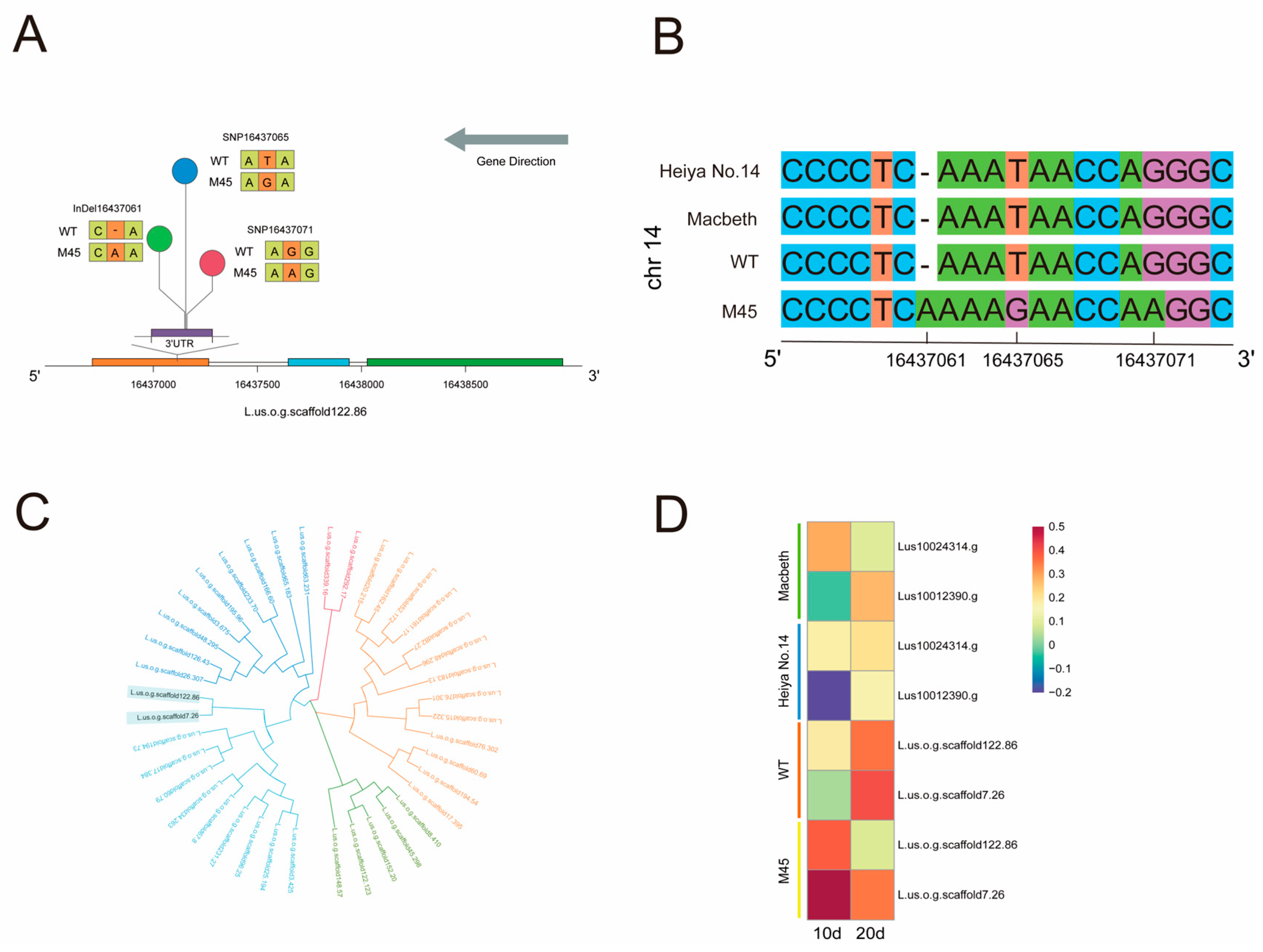 Plants 14 02583 g007