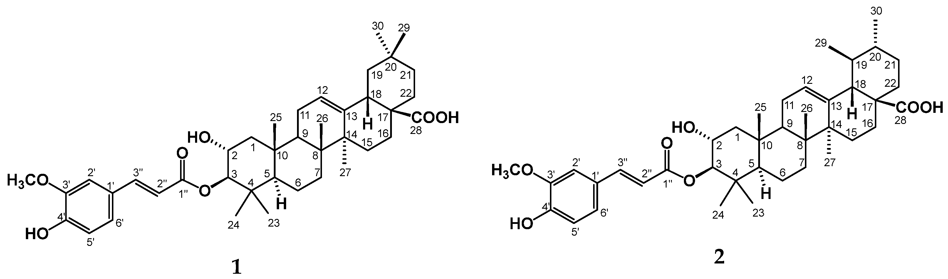 Plants 14 02585 g003