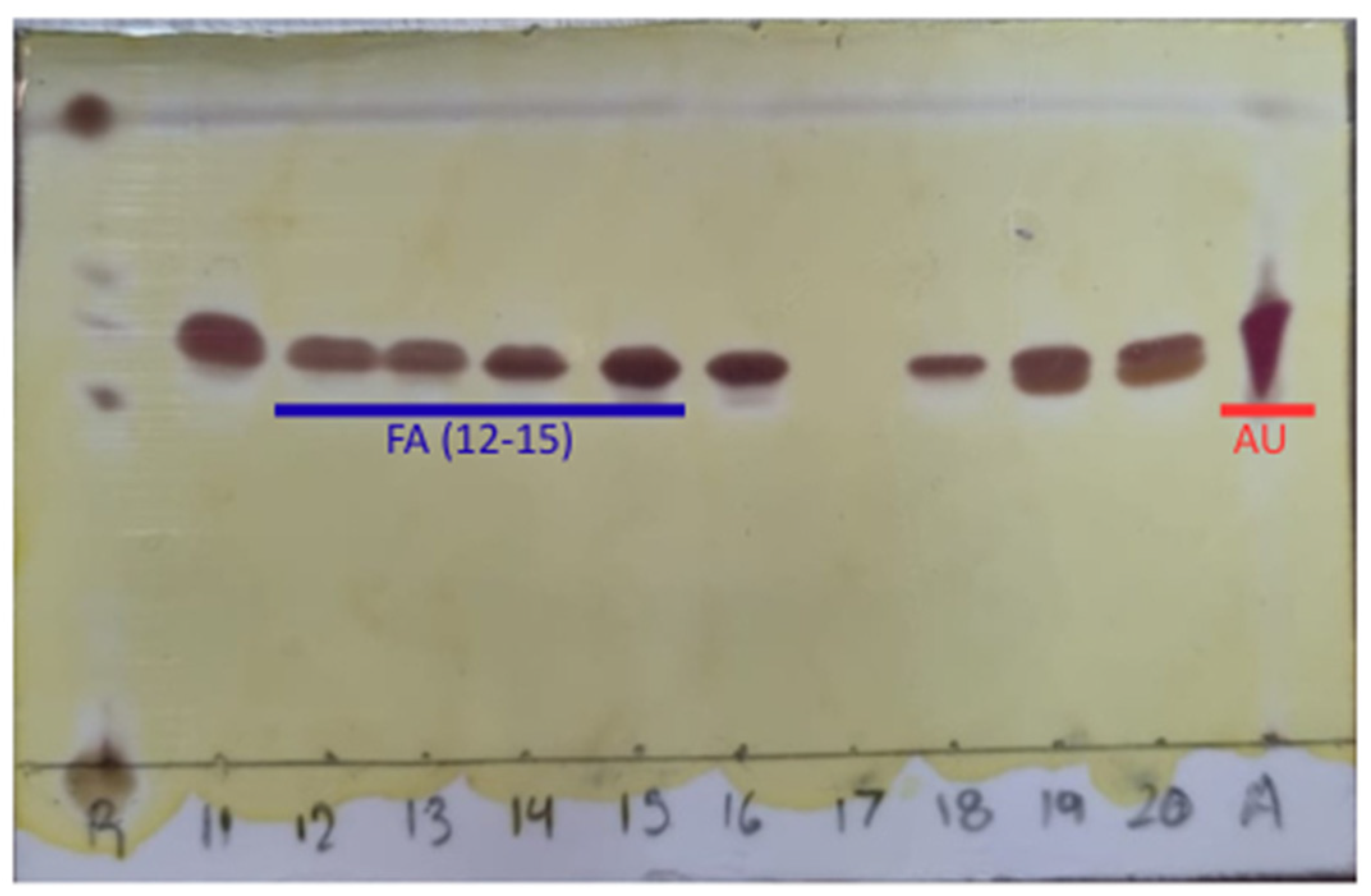 Plants 14 02585 g0a1