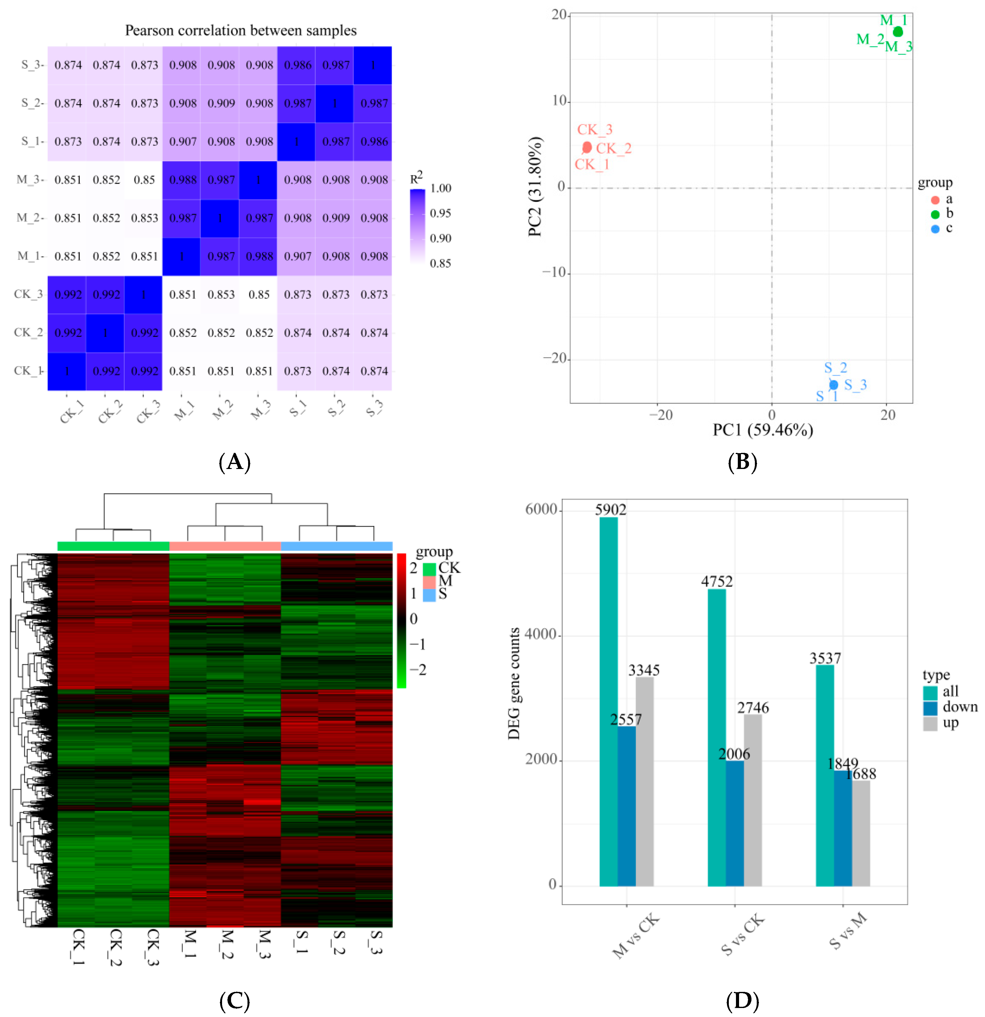 Plants 14 02589 g006 Plants 14 02589 g006