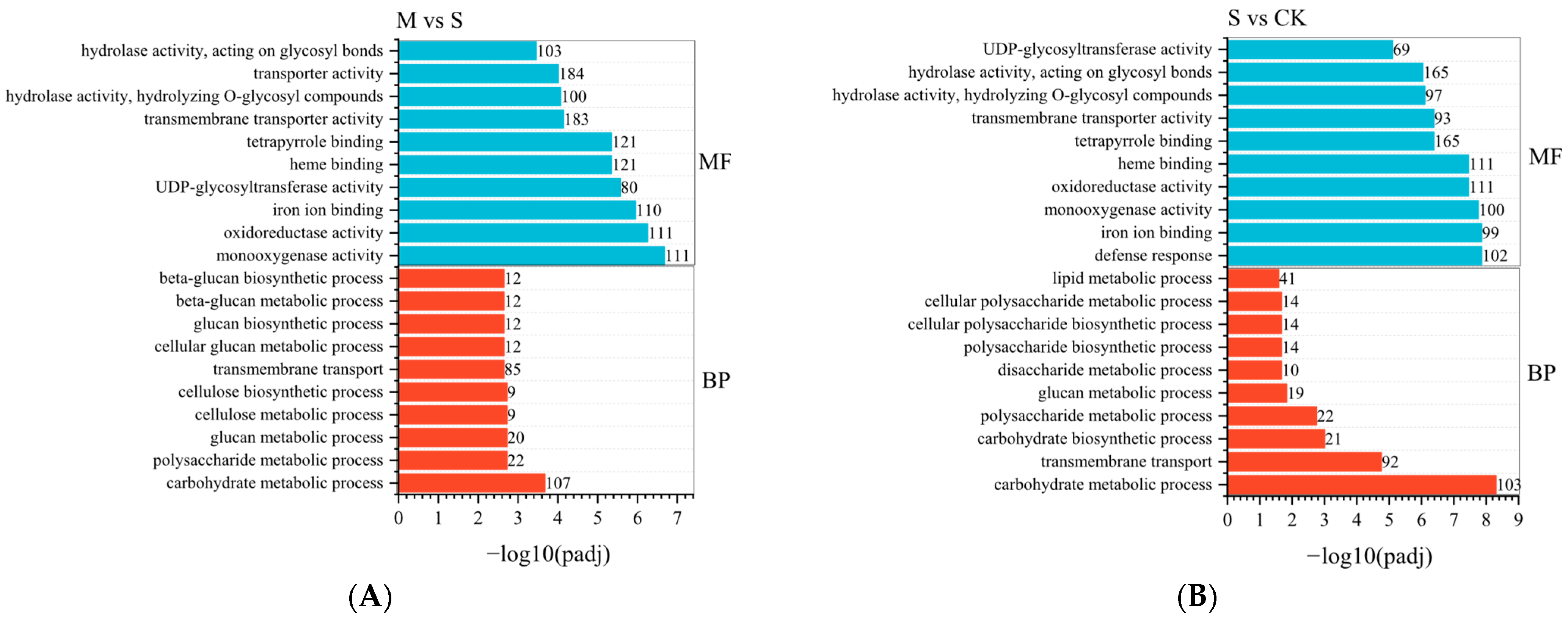 Plants 14 02589 g007 Plants 14 02589 g007