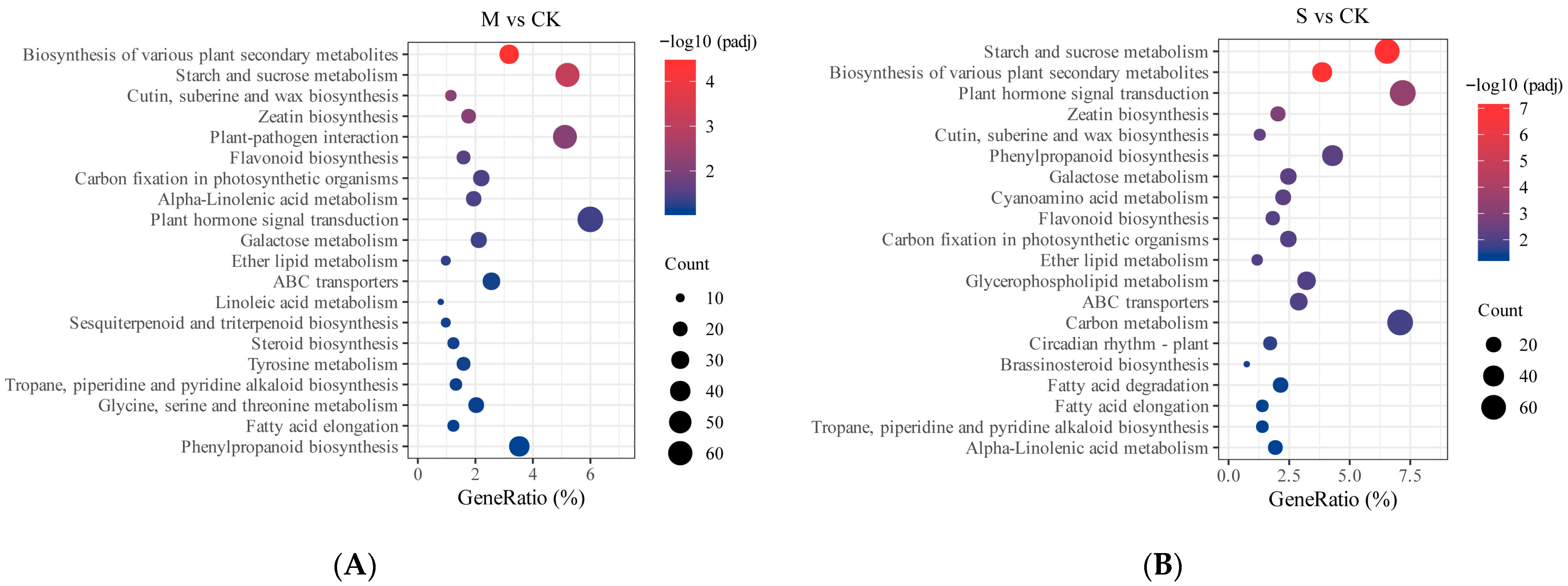 Plants 14 02589 g008 Plants 14 02589 g008