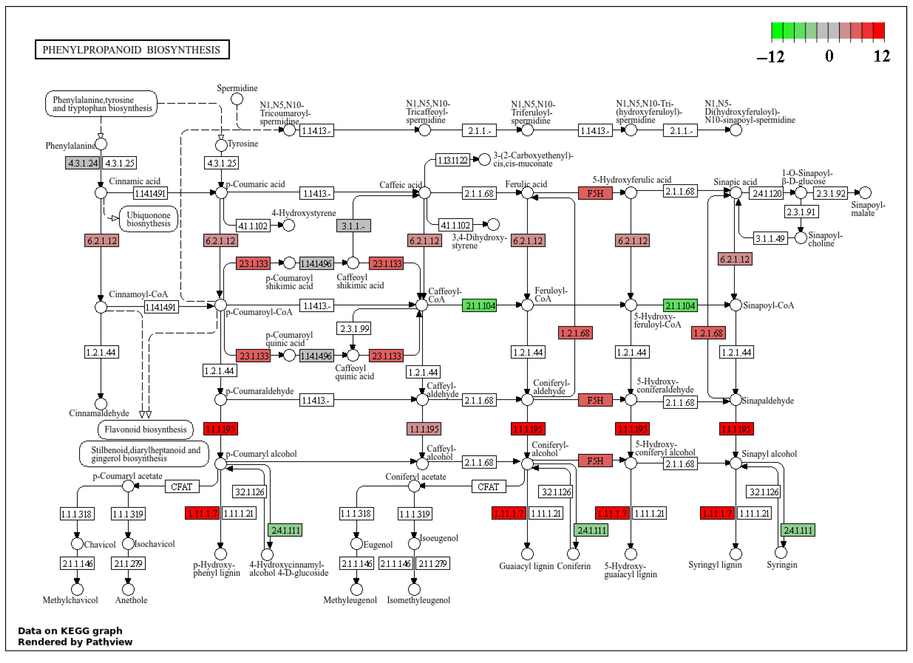 Plants 14 02589 g010 Plants 14 02589 g010