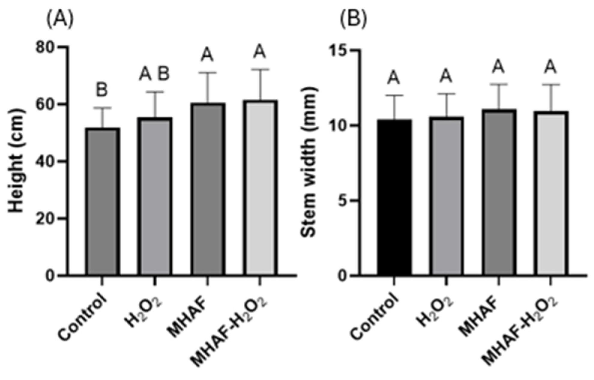 Plants 14 02591 g001 Plants 14 02591 g001
