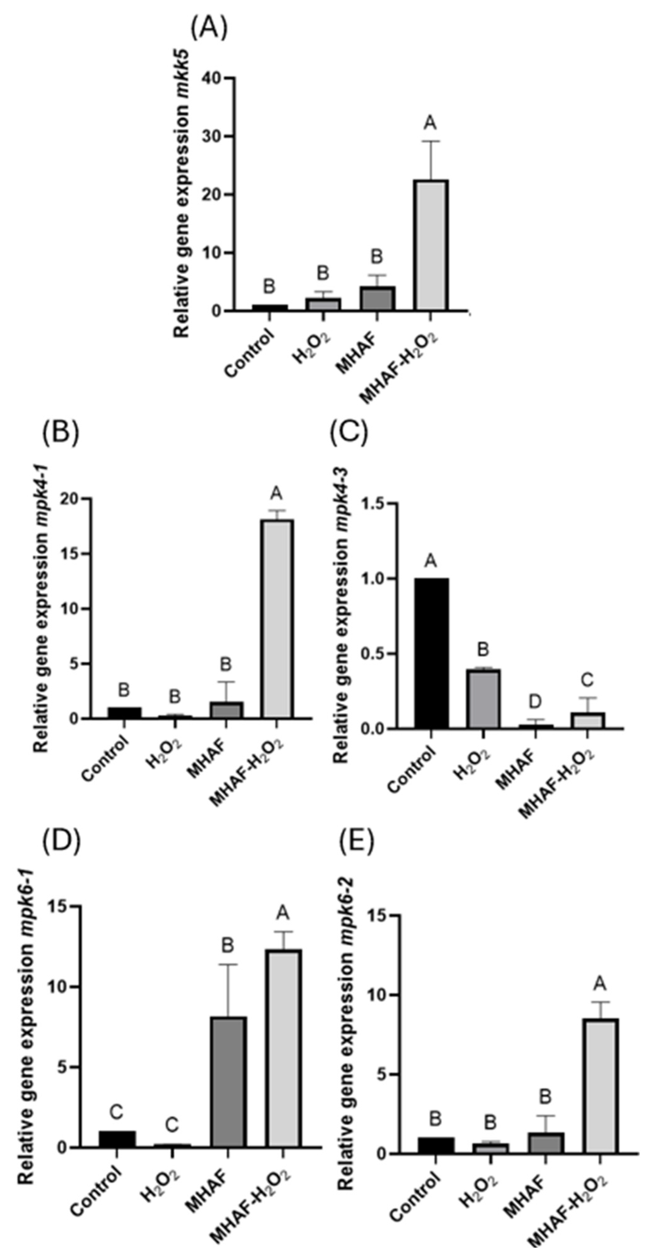 Plants 14 02591 g006 Plants 14 02591 g006