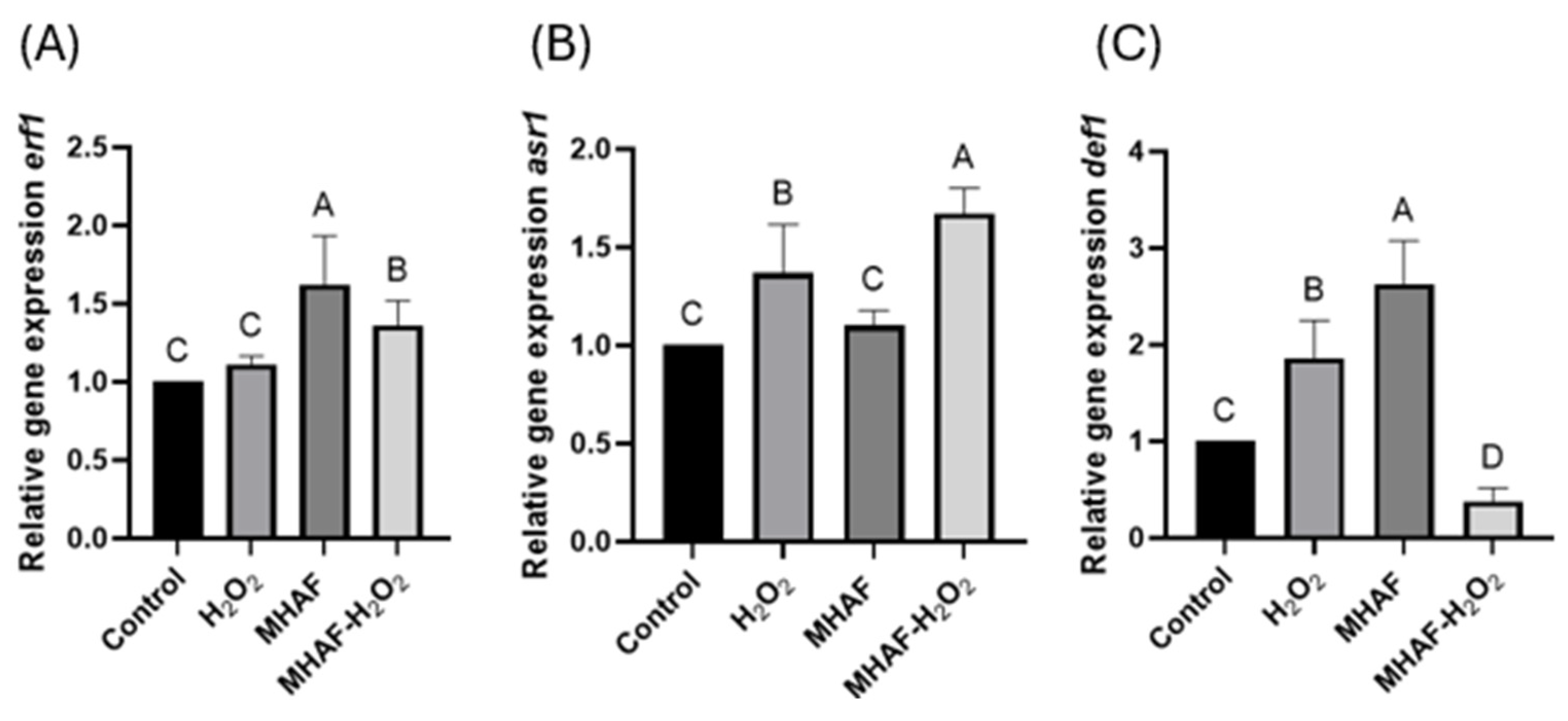 Plants 14 02591 g007 Plants 14 02591 g007