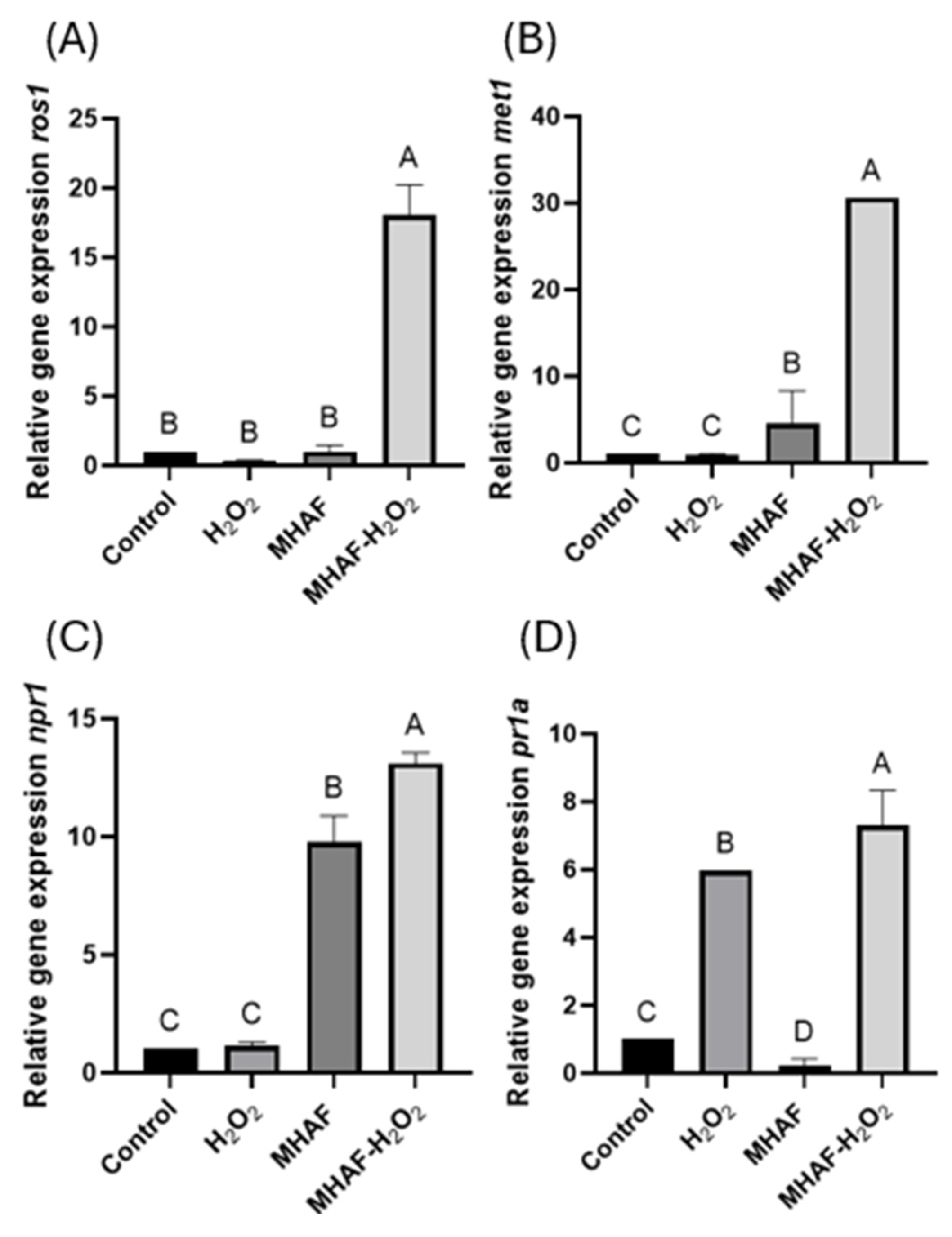 Plants 14 02591 g008 Plants 14 02591 g008