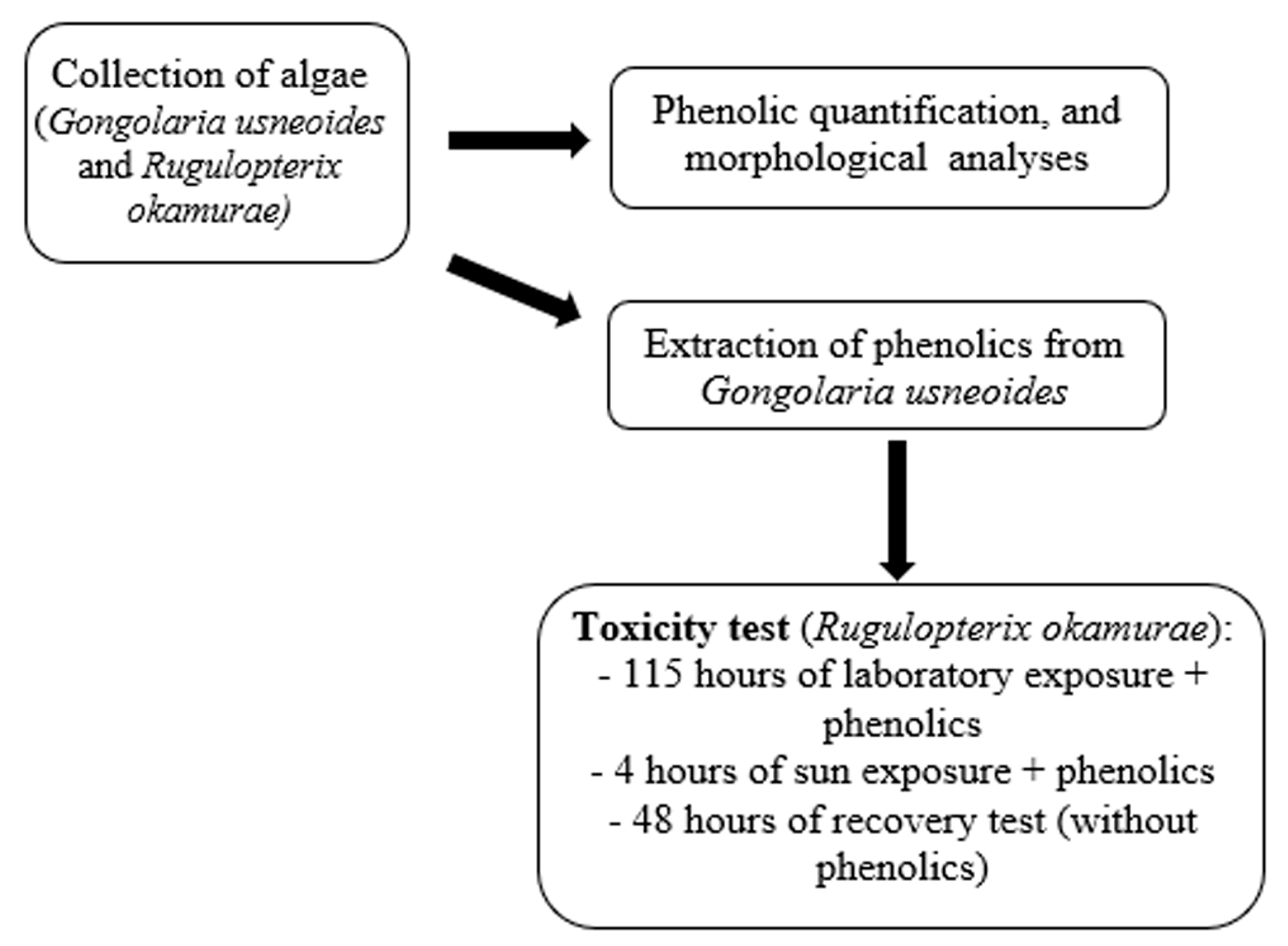 Plants 14 02594 g009