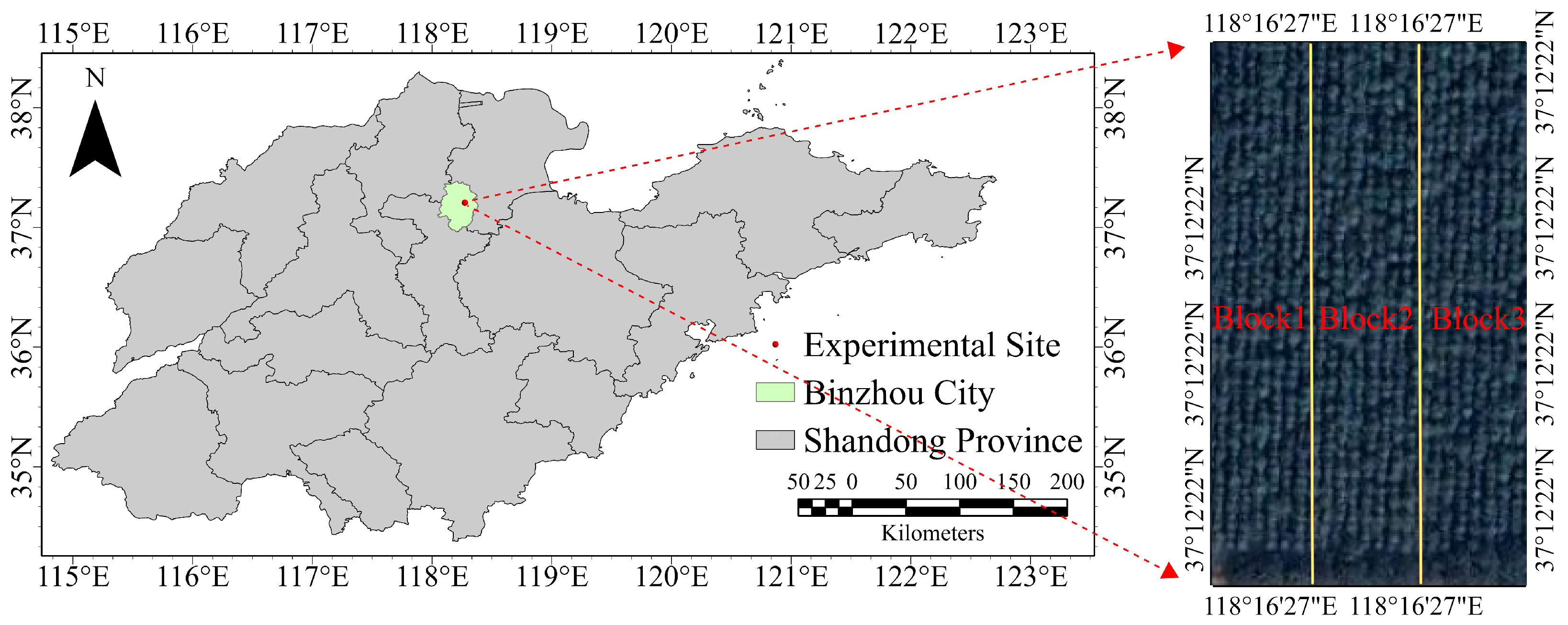 Plants 14 02601 g004 Plants 14 02601 g004