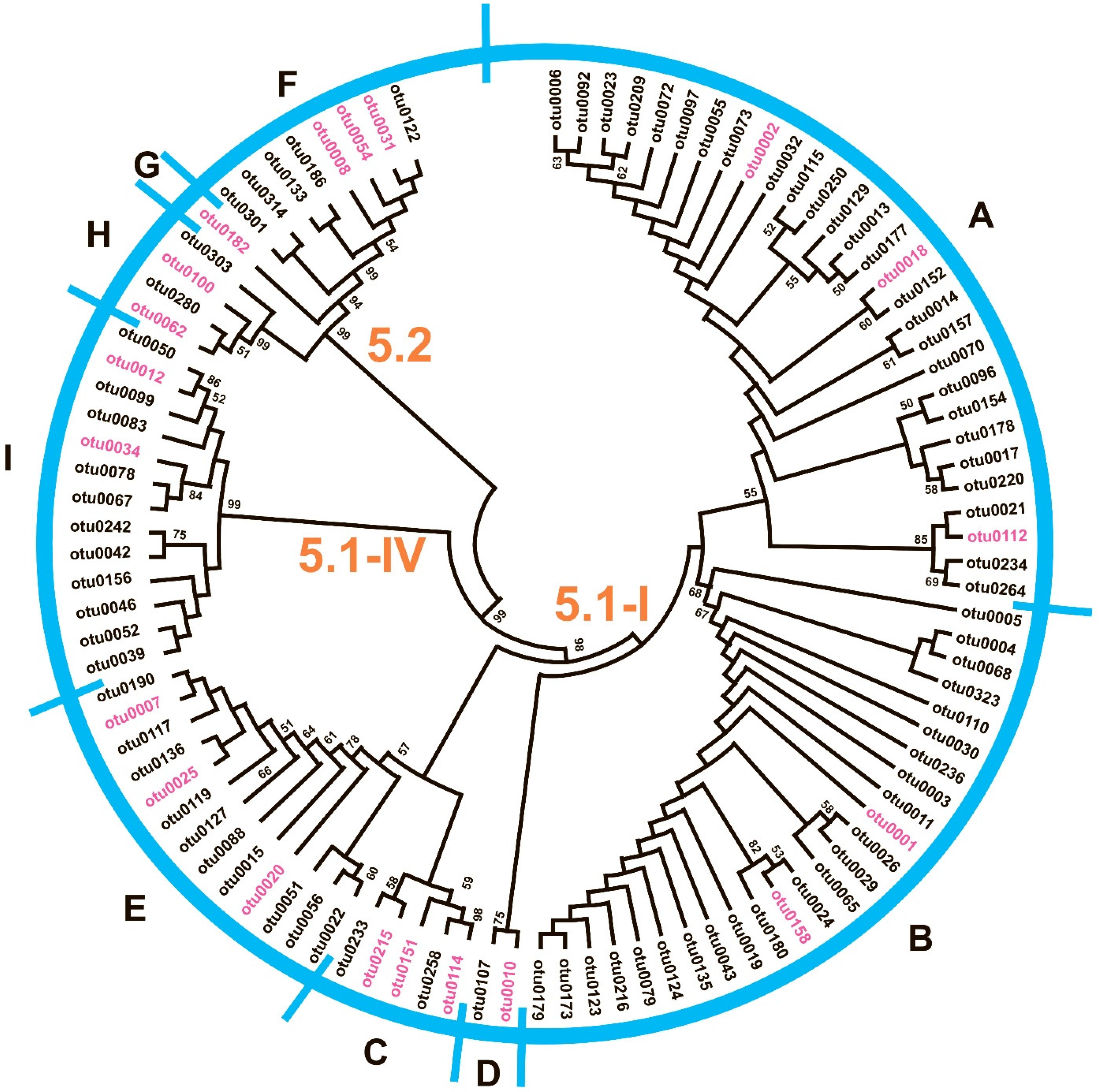Plants 14 02614 g004