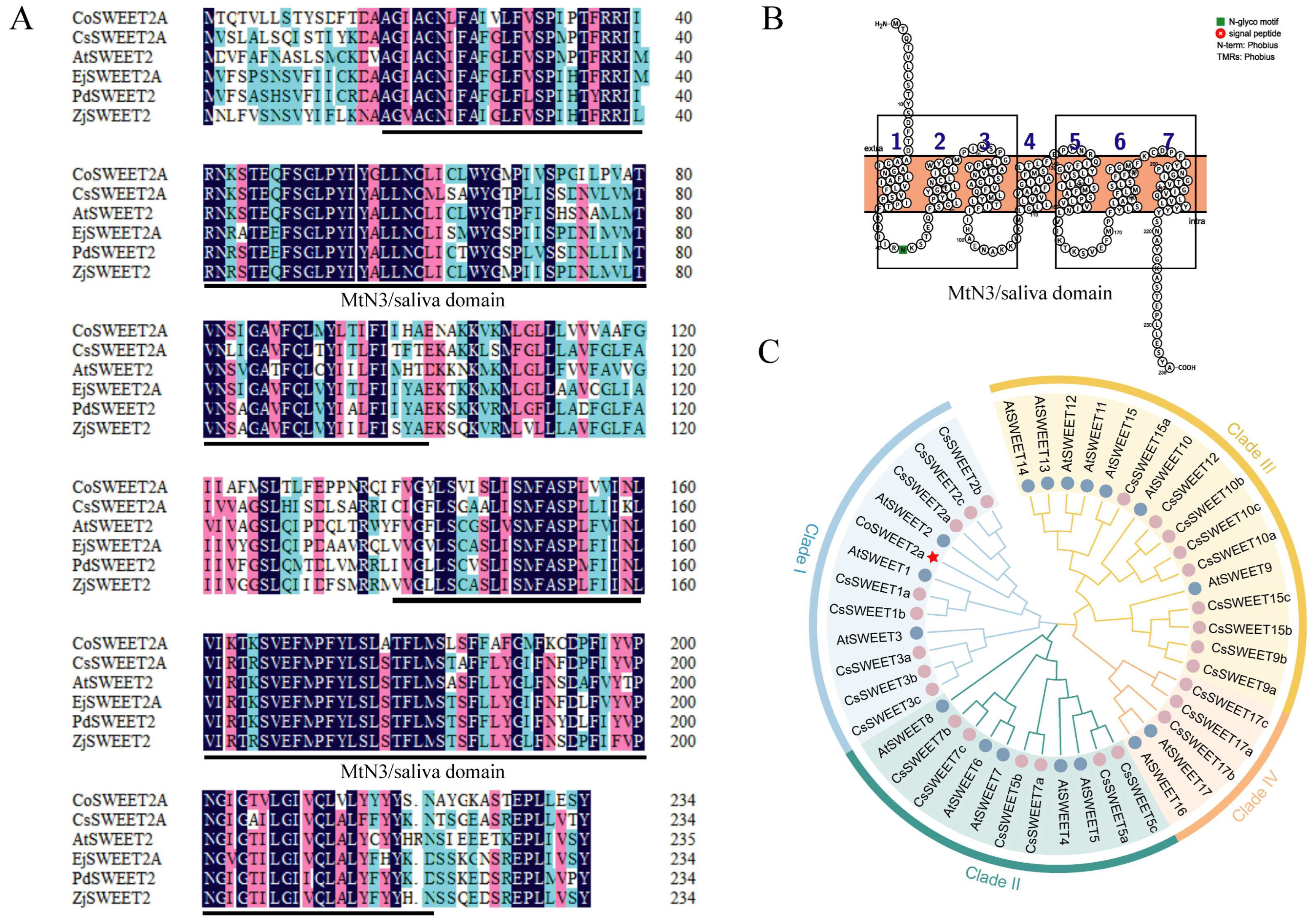 Plants 14 02618 g002