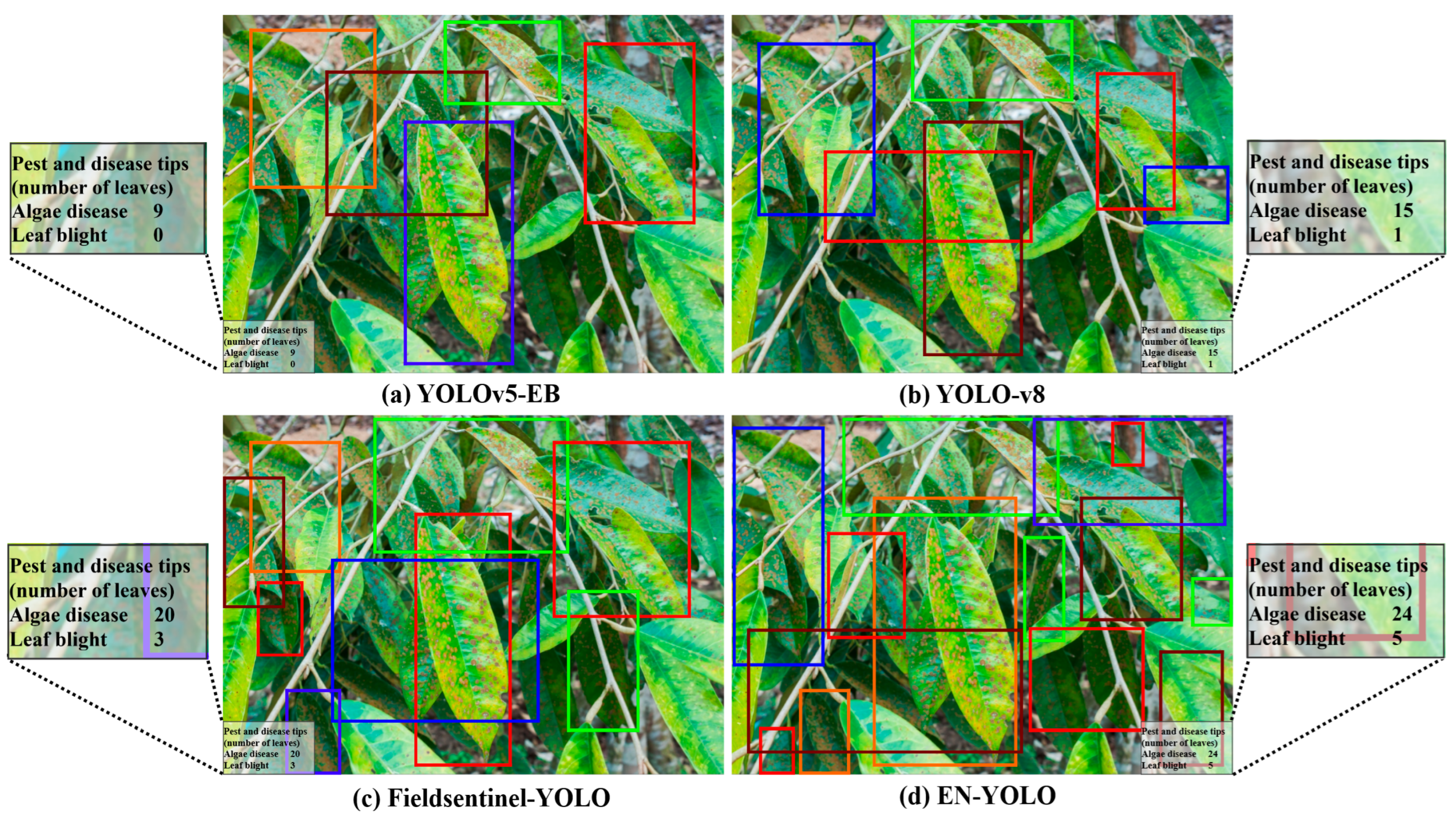 Plants 14 02619 g011