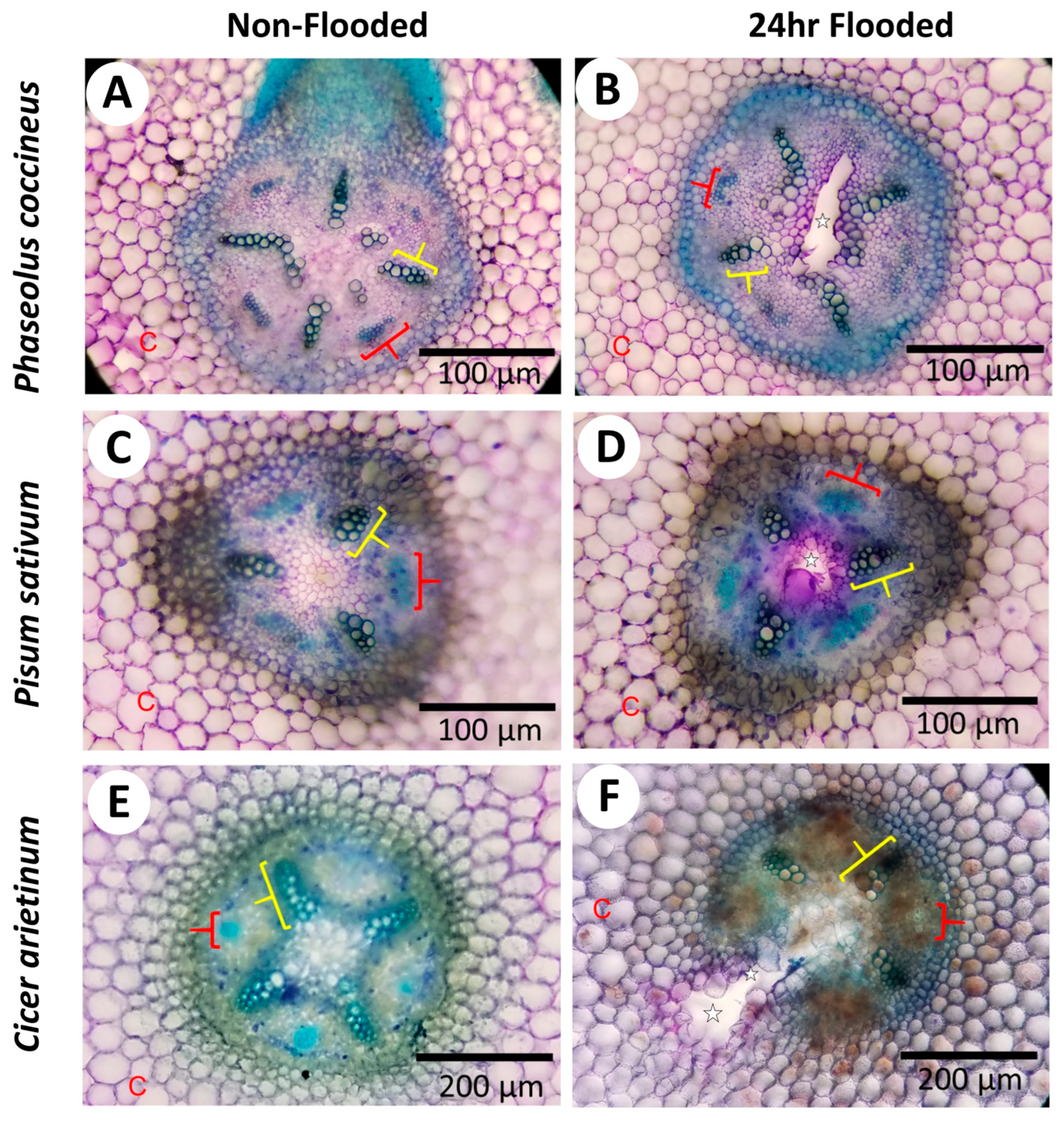 Plants 14 02620 g002