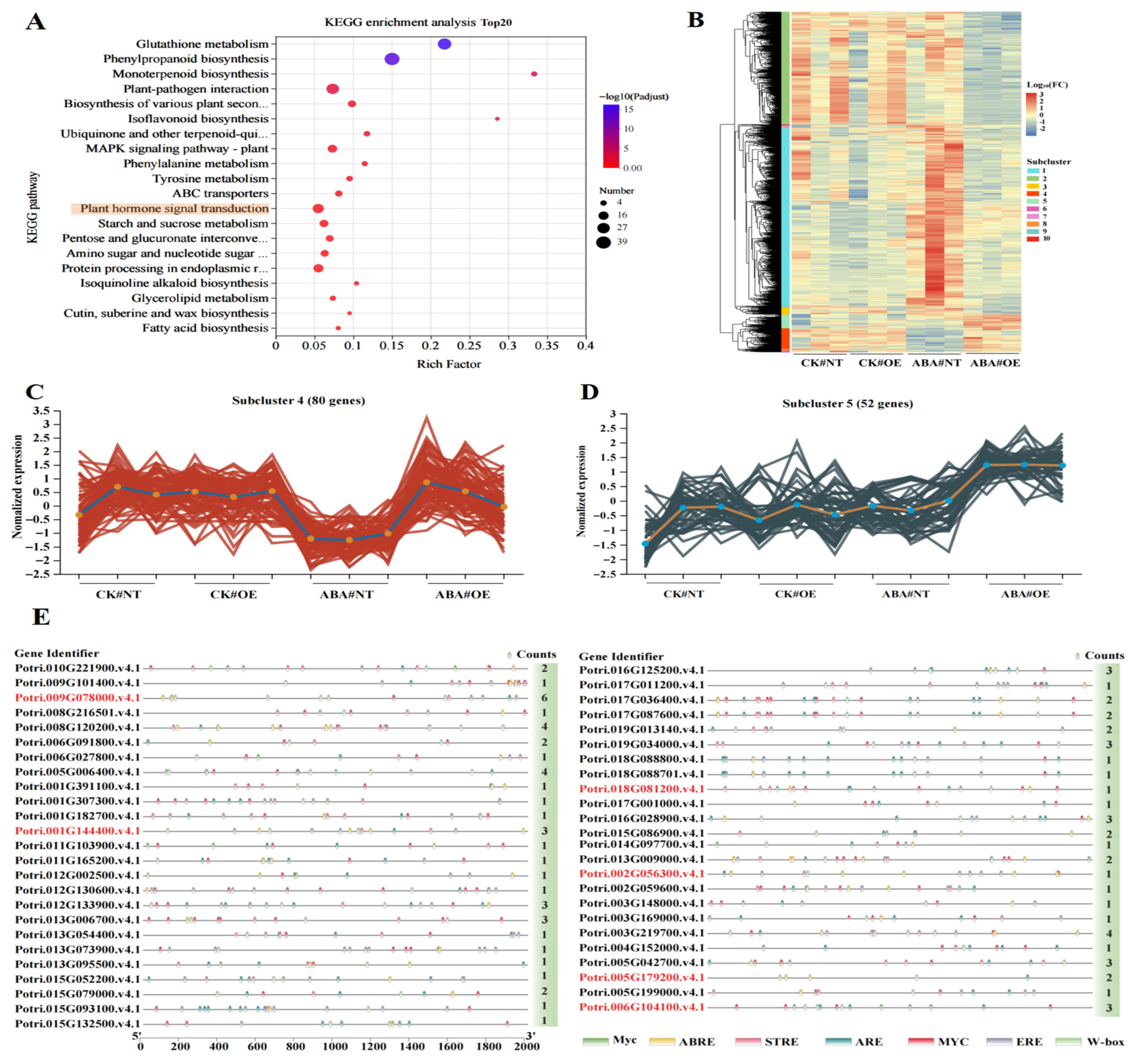 Plants 14 02621 g005 Plants 14 02621 g005