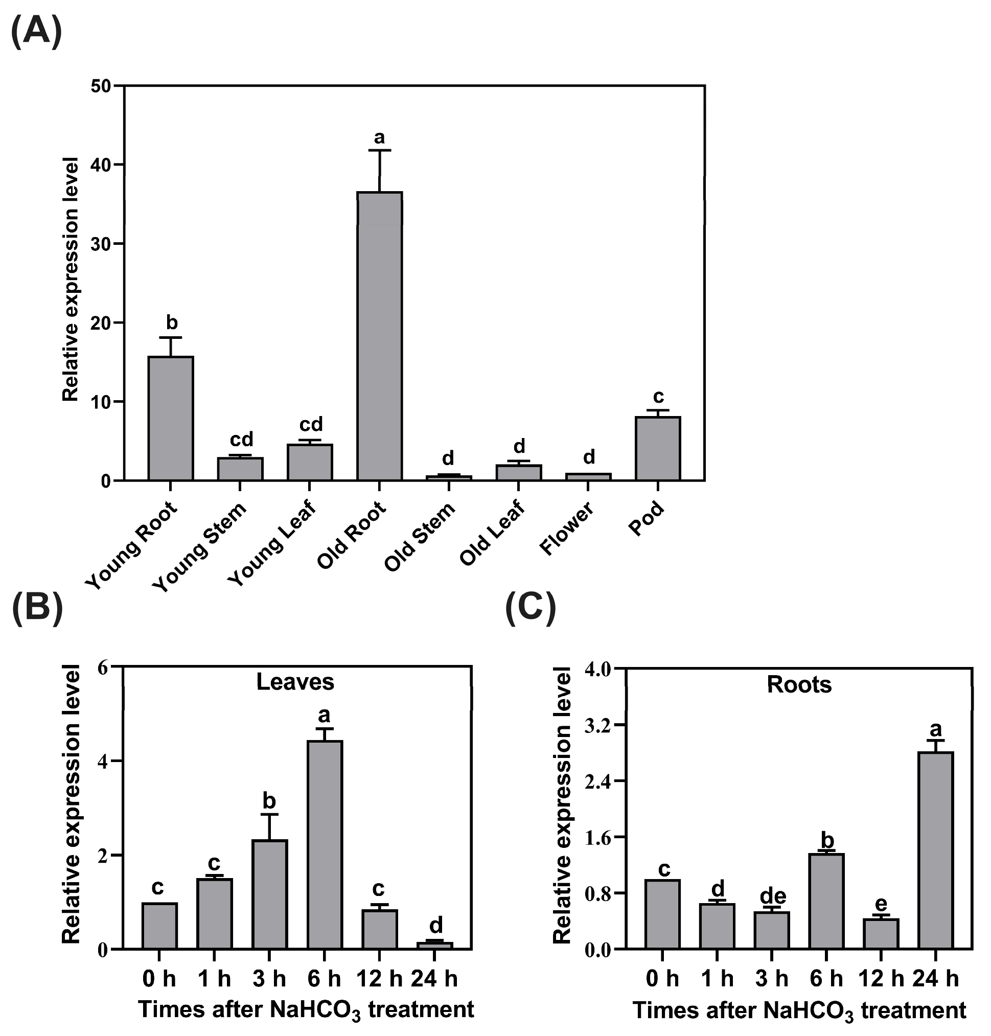 Plants 14 02623 g001