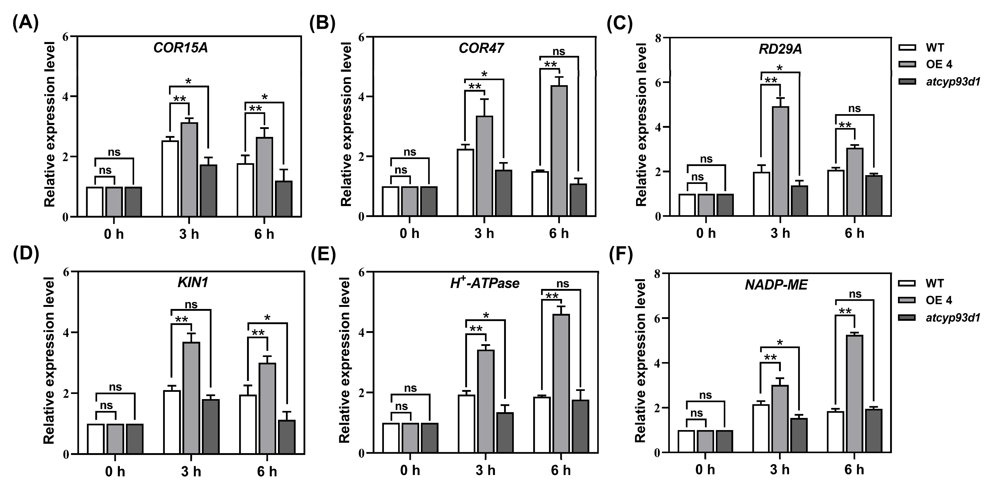 Plants 14 02623 g004