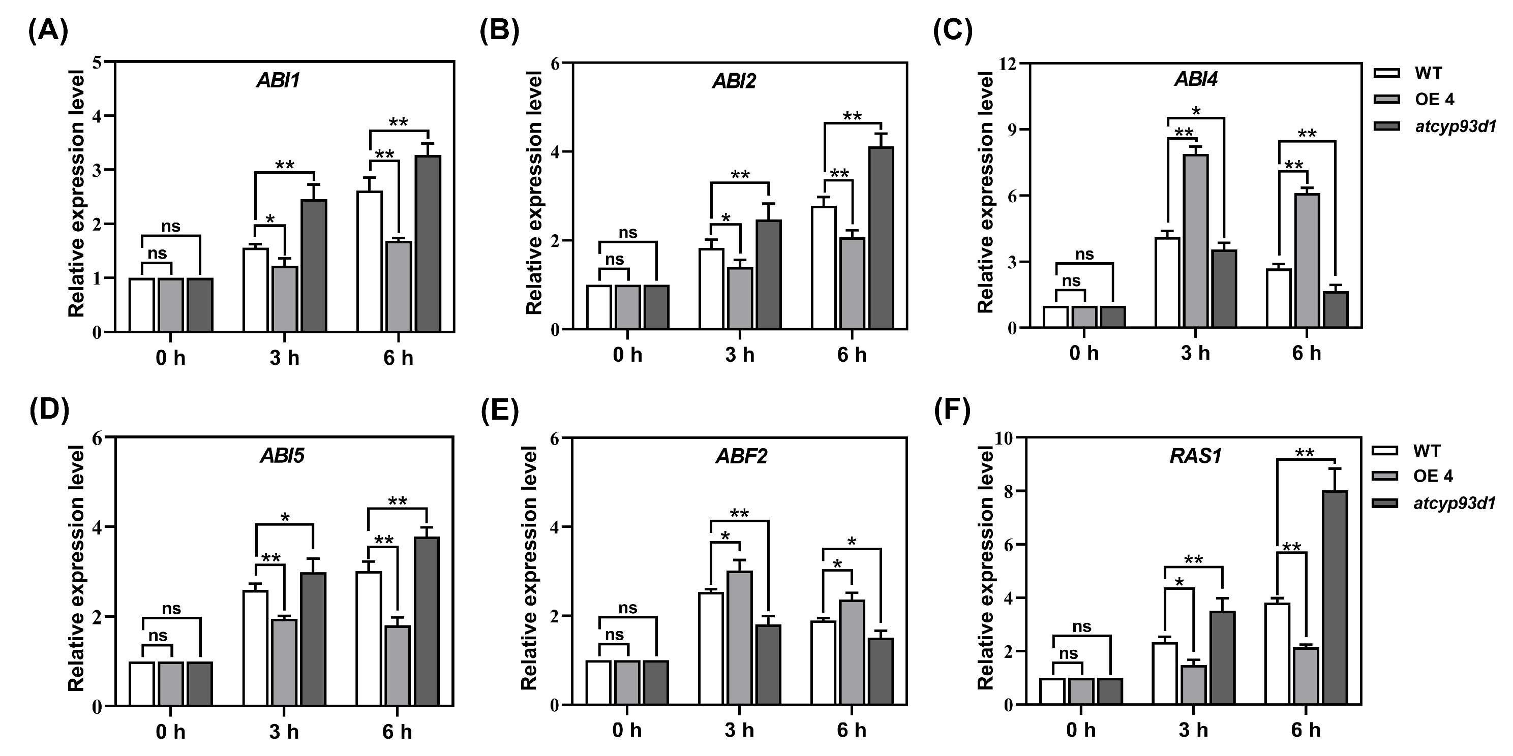 Plants 14 02623 g007