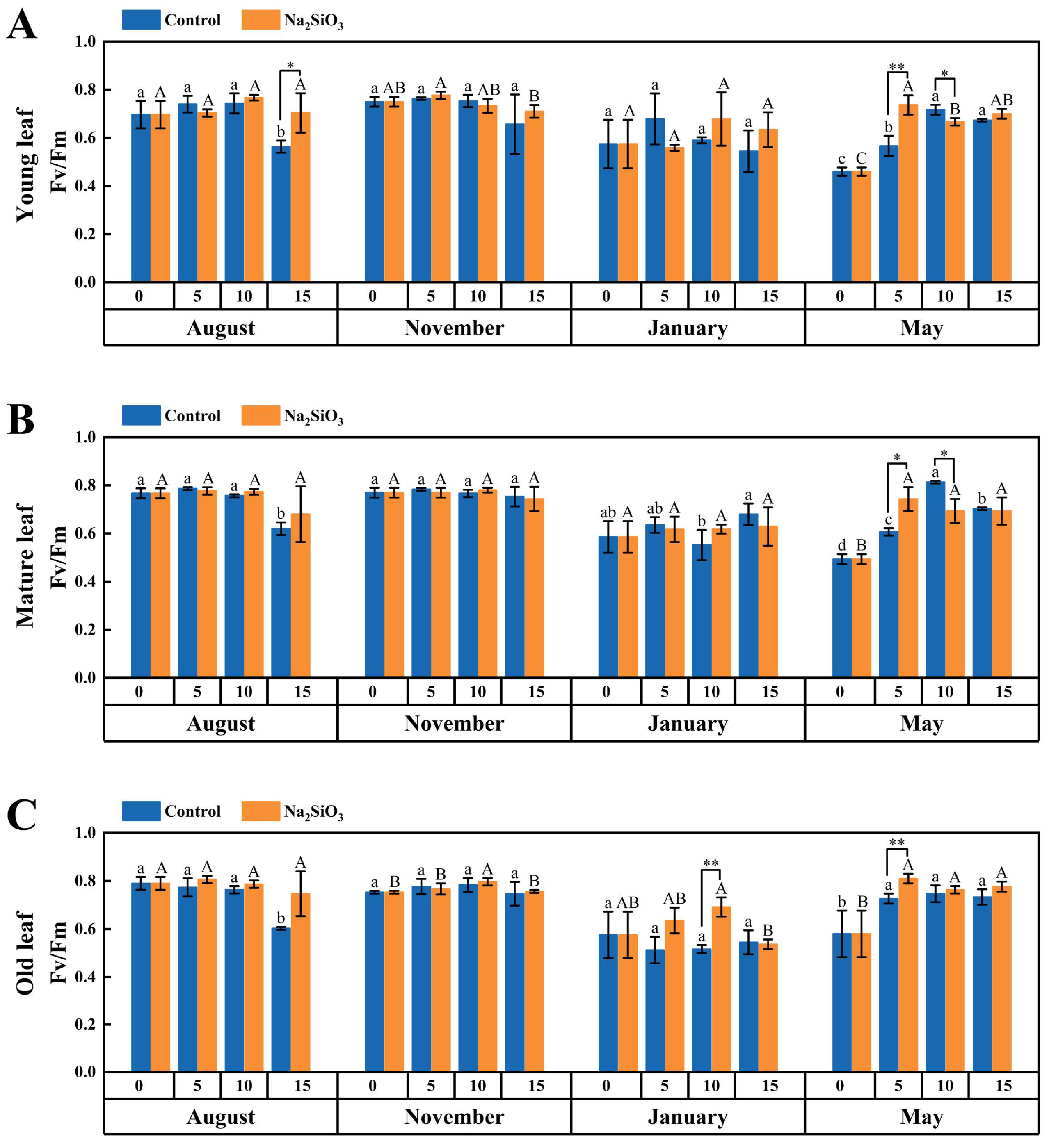Plants 14 02624 g003 Plants 14 02624 g003
