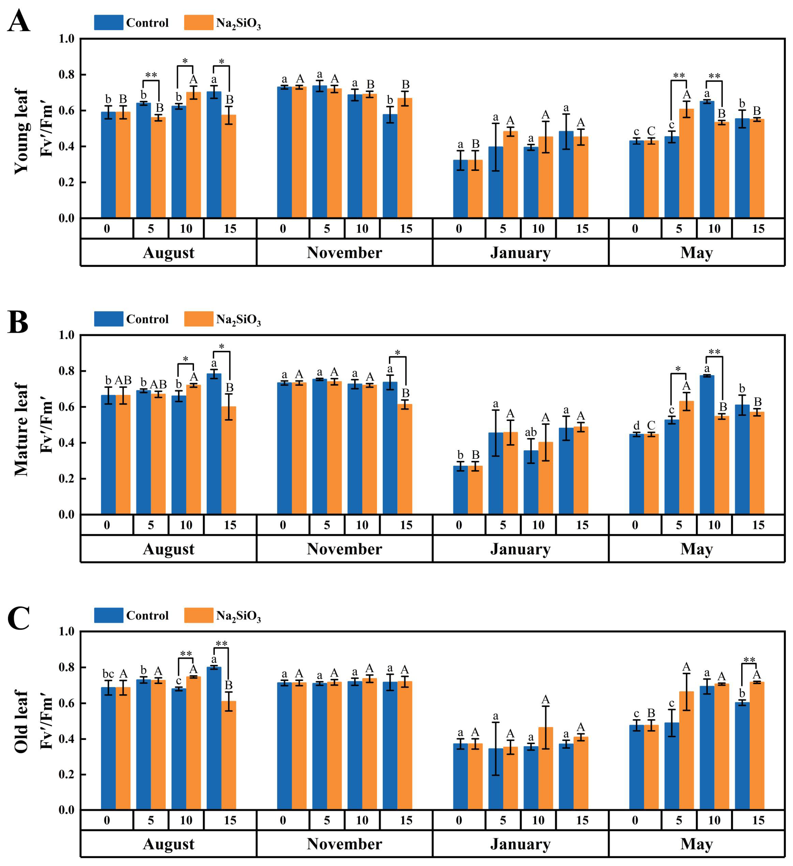 Plants 14 02624 g004 Plants 14 02624 g004