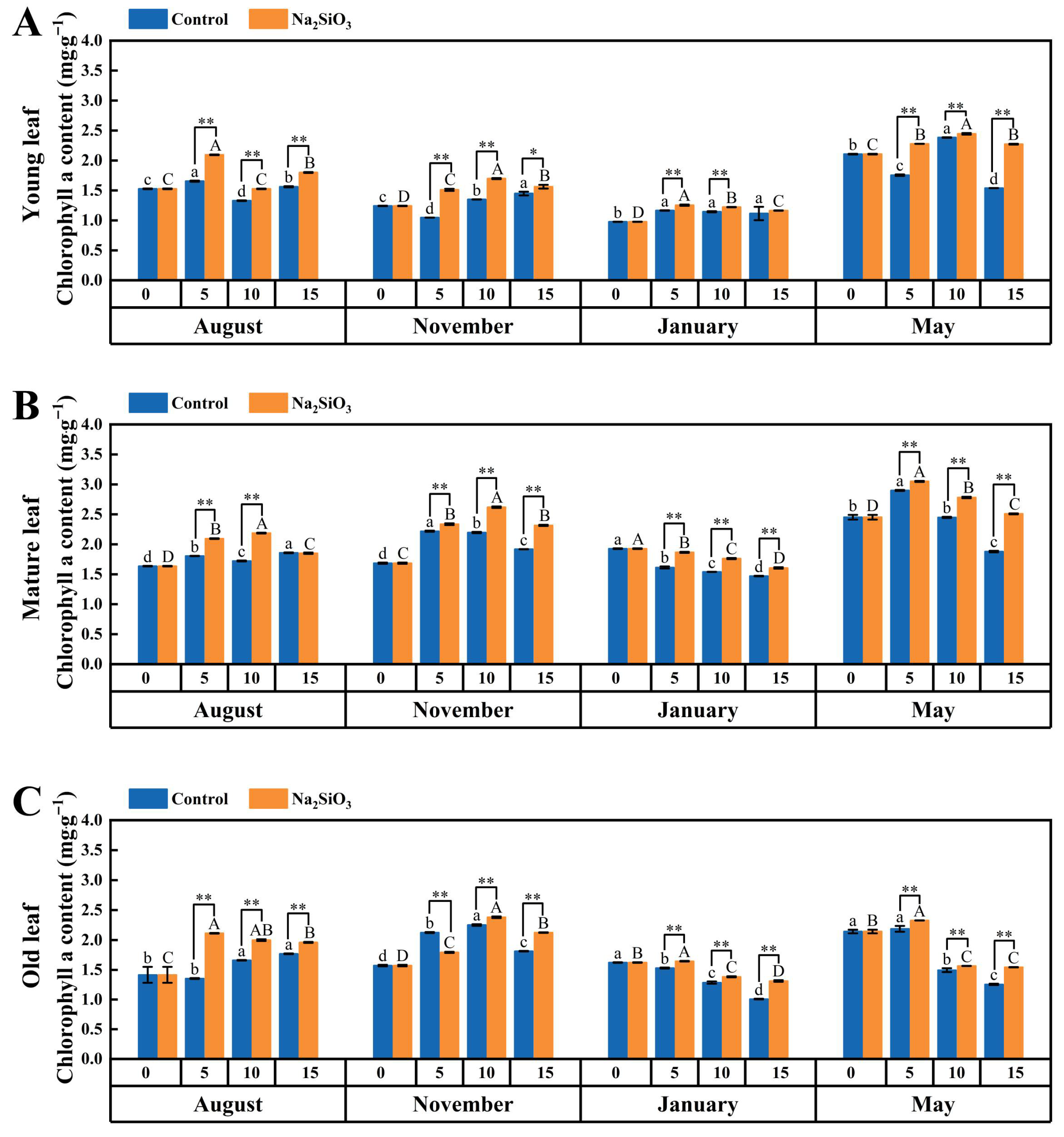 Plants 14 02624 g005 Plants 14 02624 g005