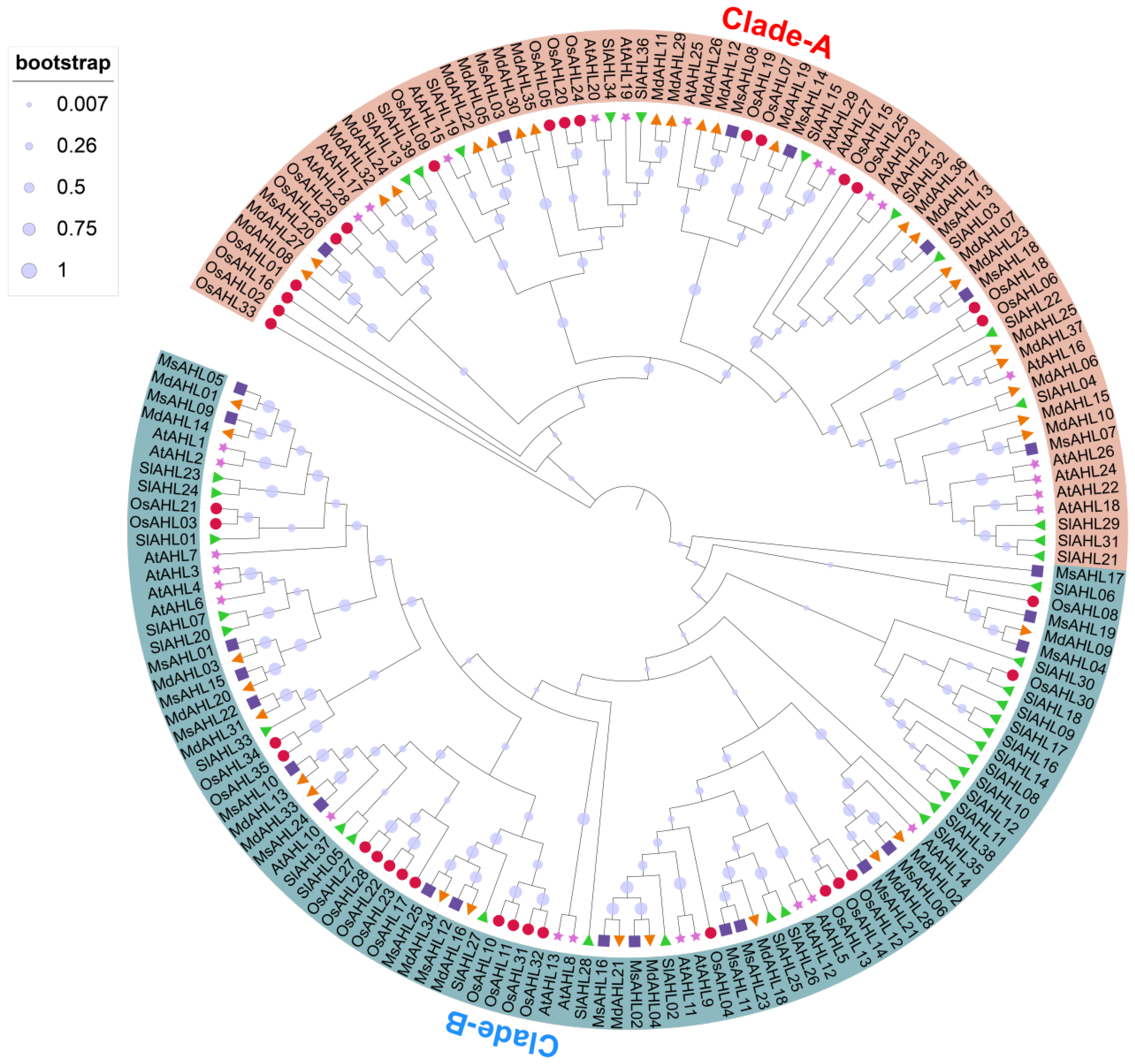 Plants 14 02625 g001