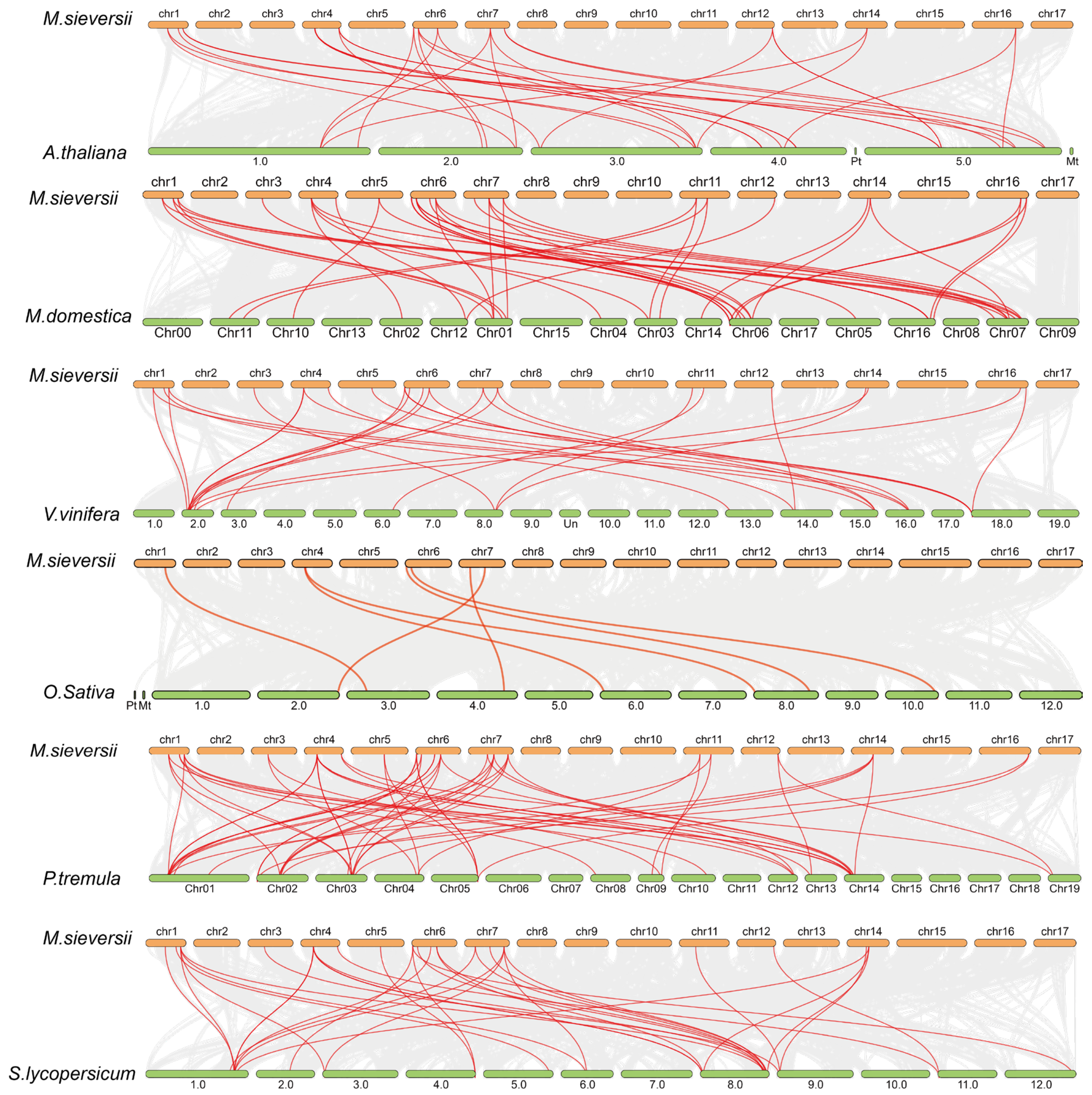 Plants 14 02625 g004