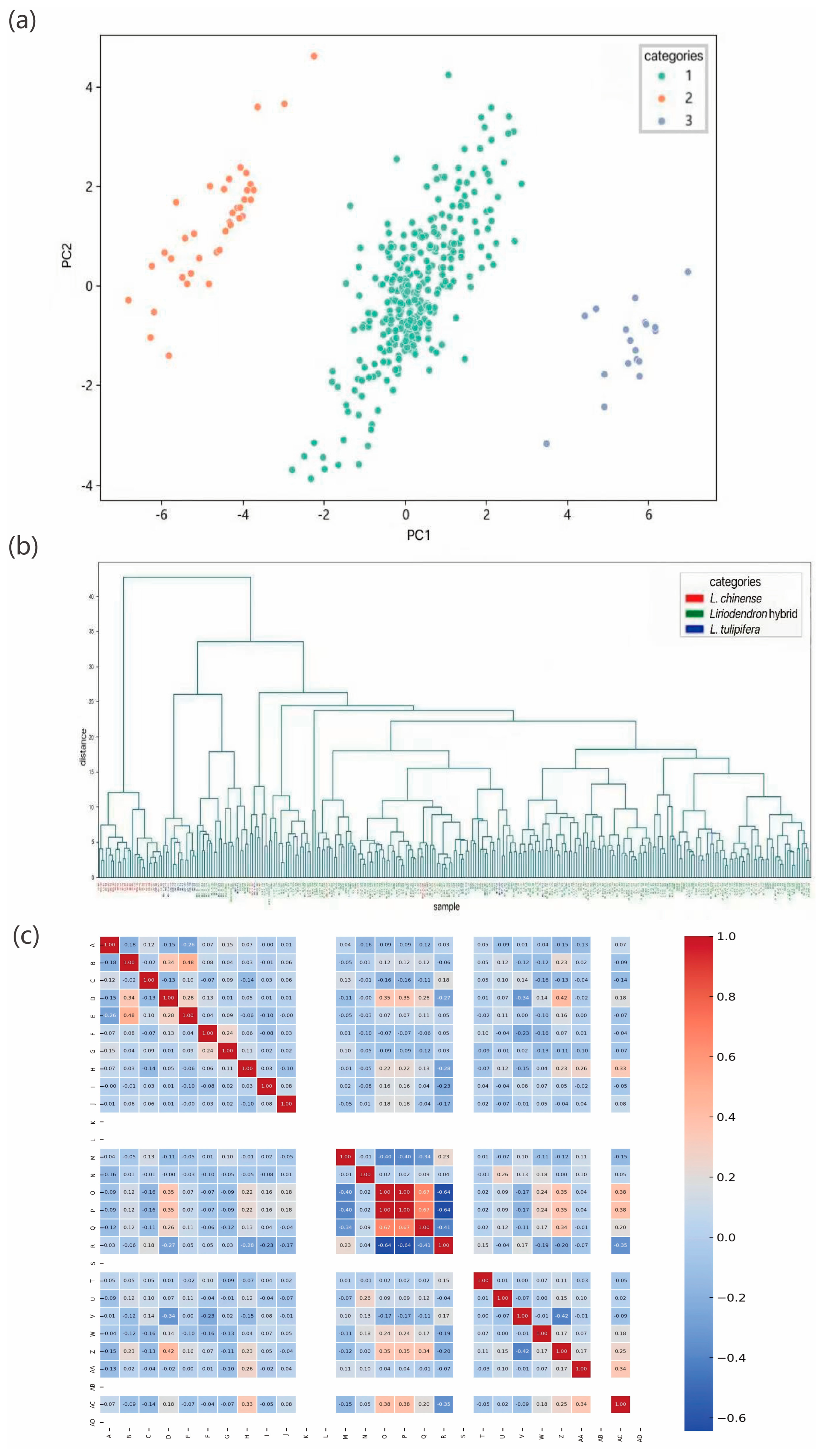 Plants 14 02626 g001