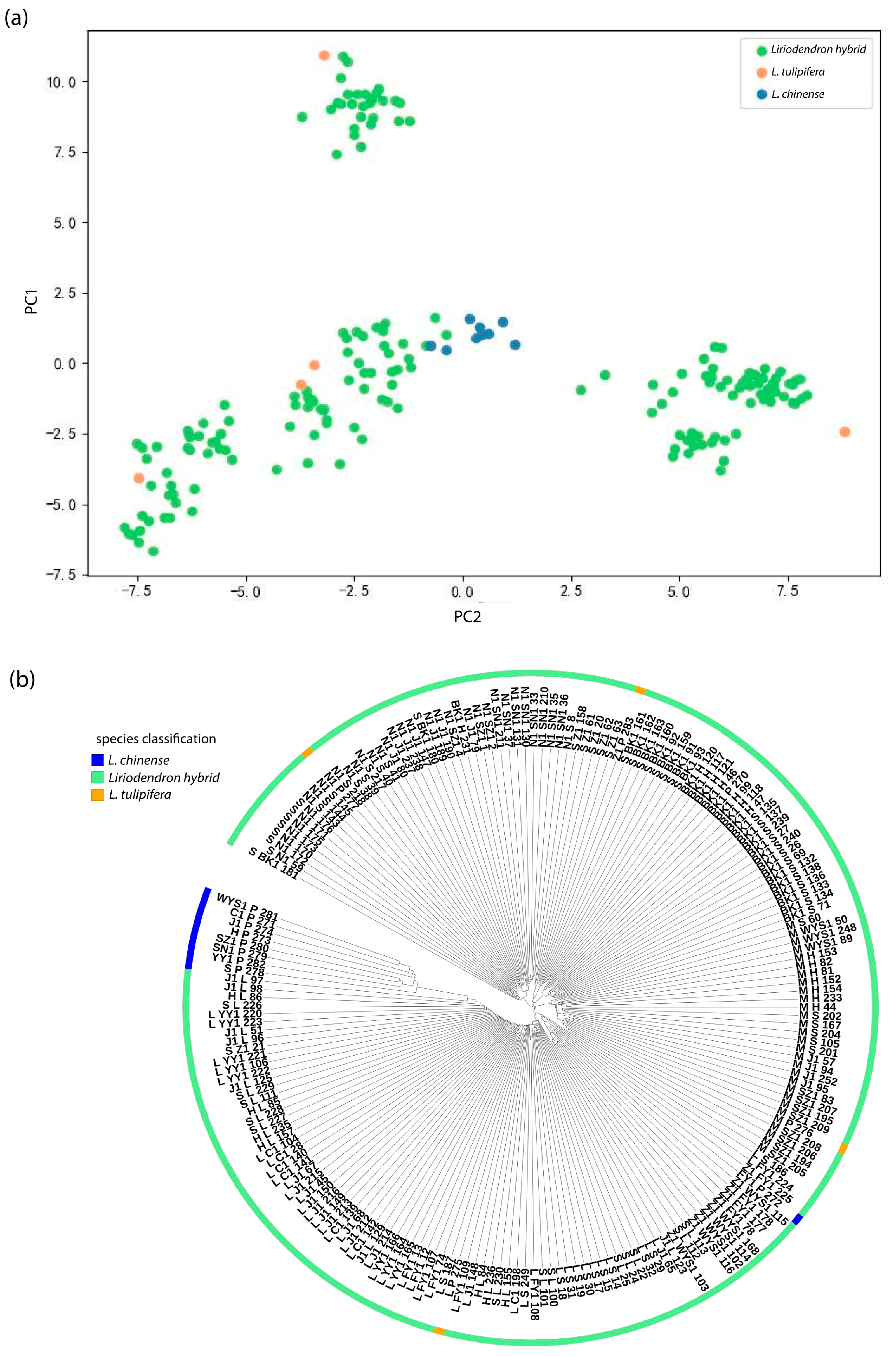 Plants 14 02626 g005