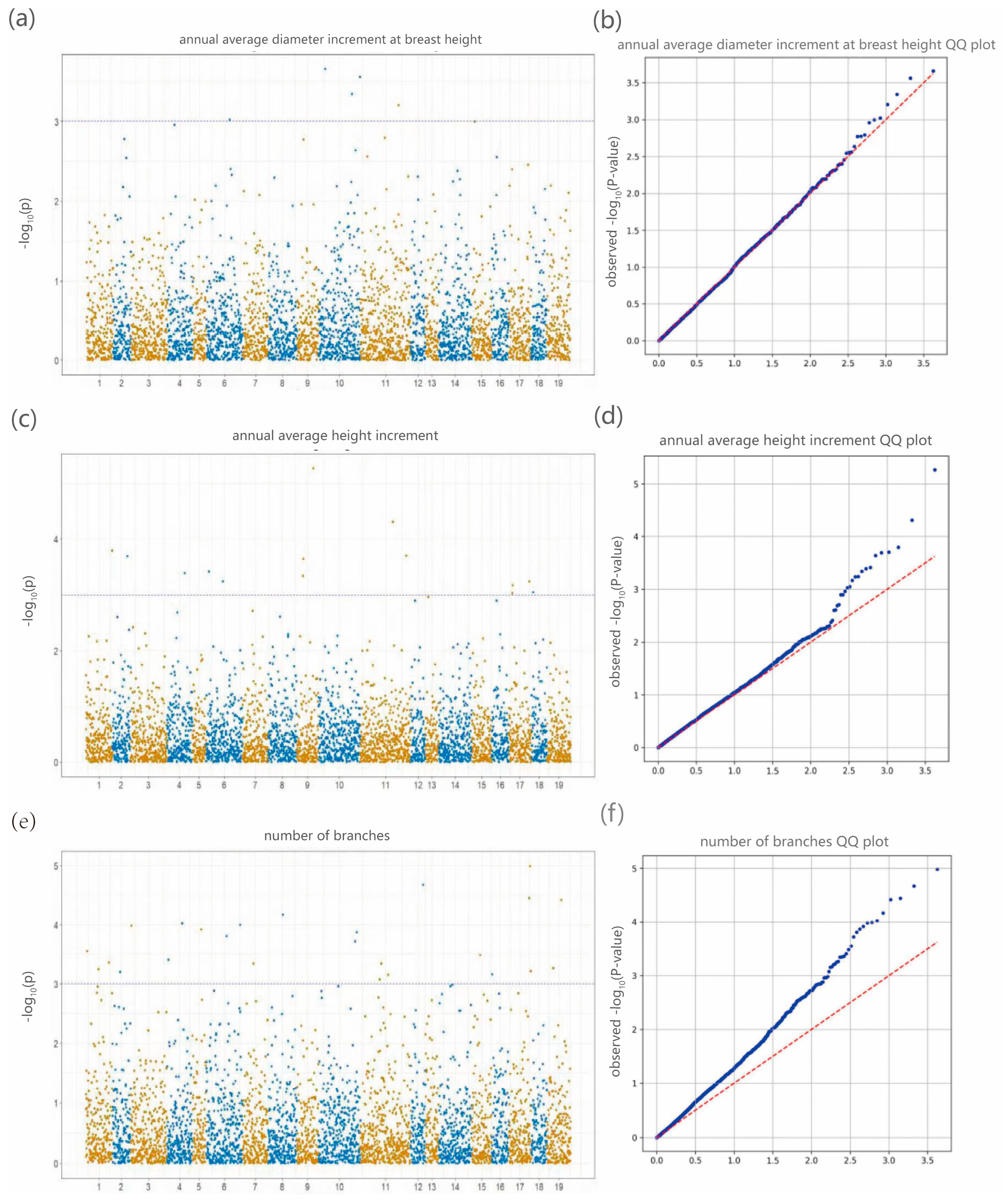 Plants 14 02626 g007