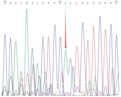 Plants 14 02626 i001