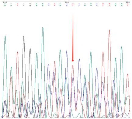 Plants 14 02626 i002