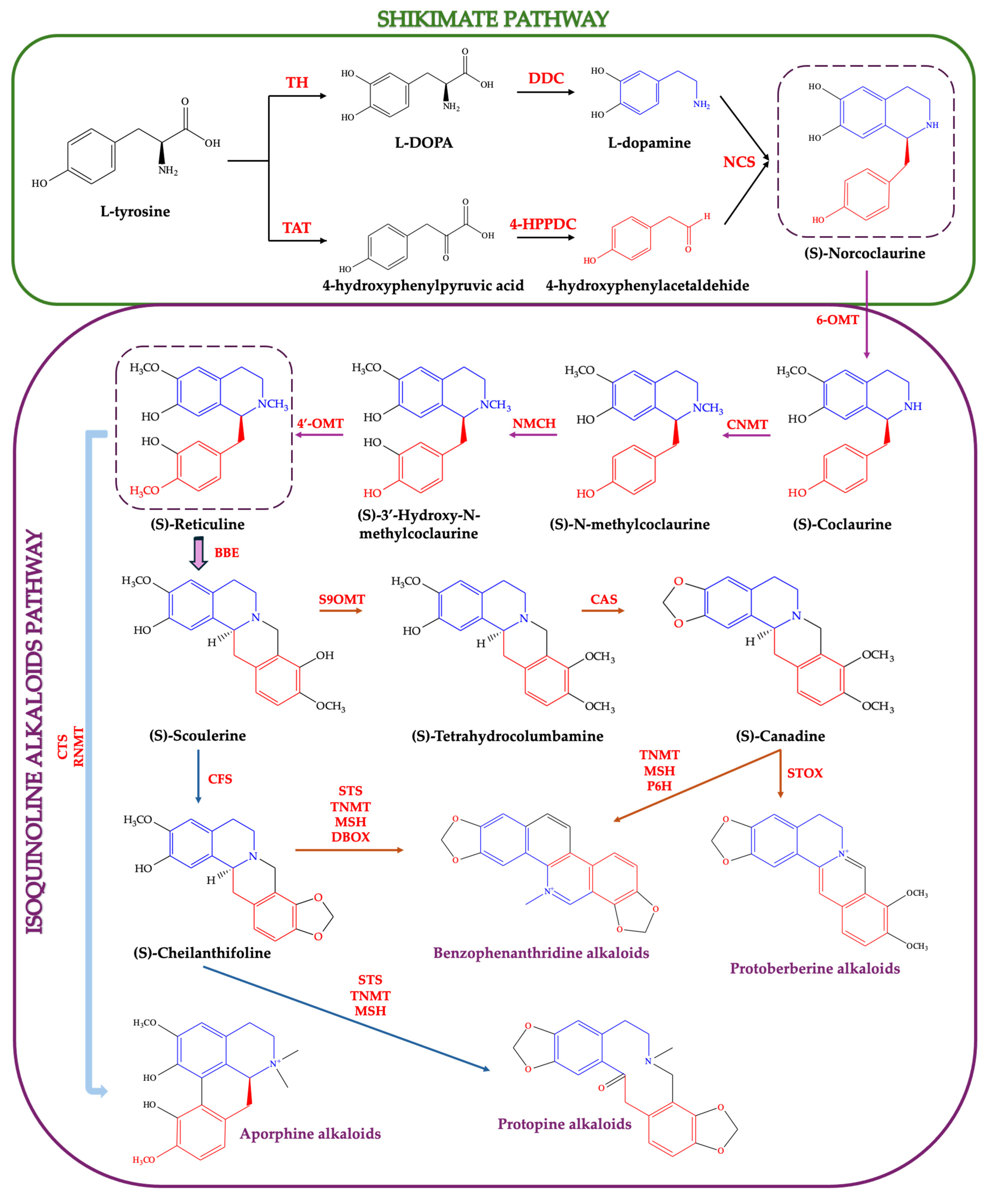 Plants 14 02627 g004