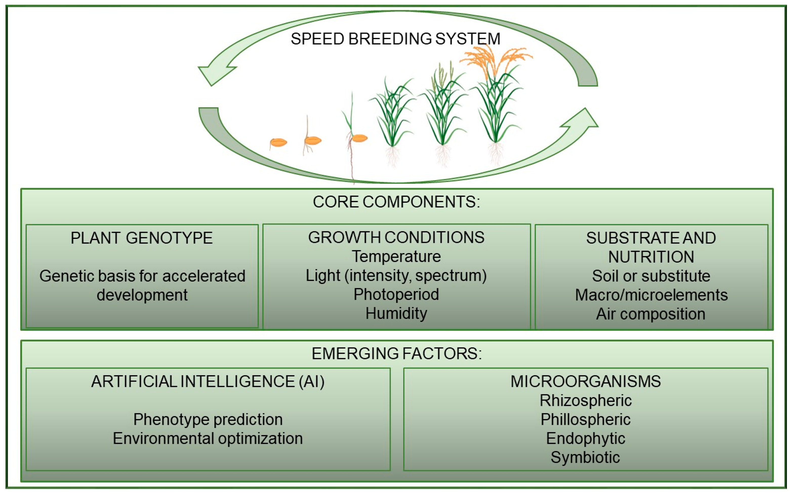 Plants 14 02628 g002