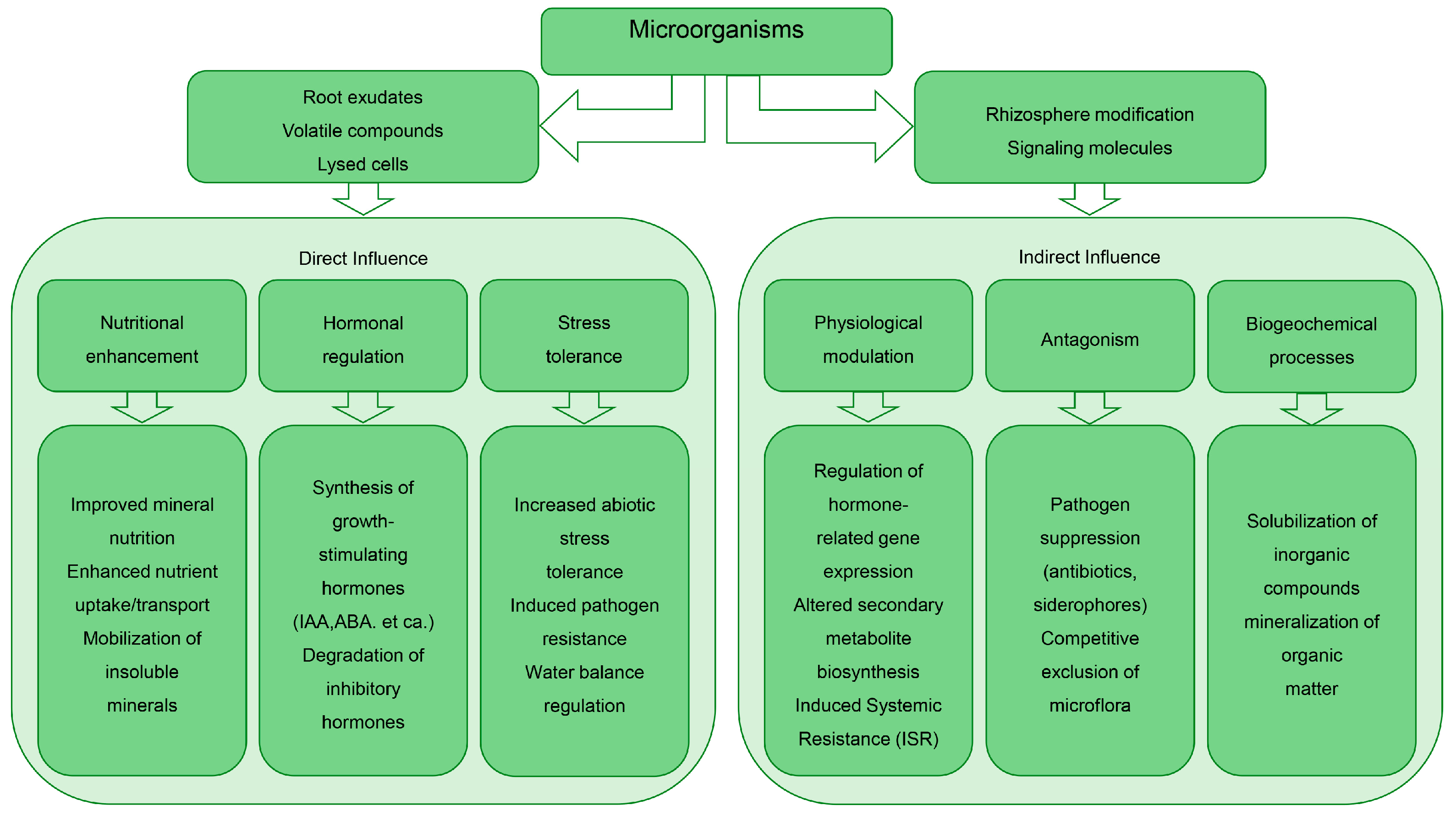 Plants 14 02628 g004