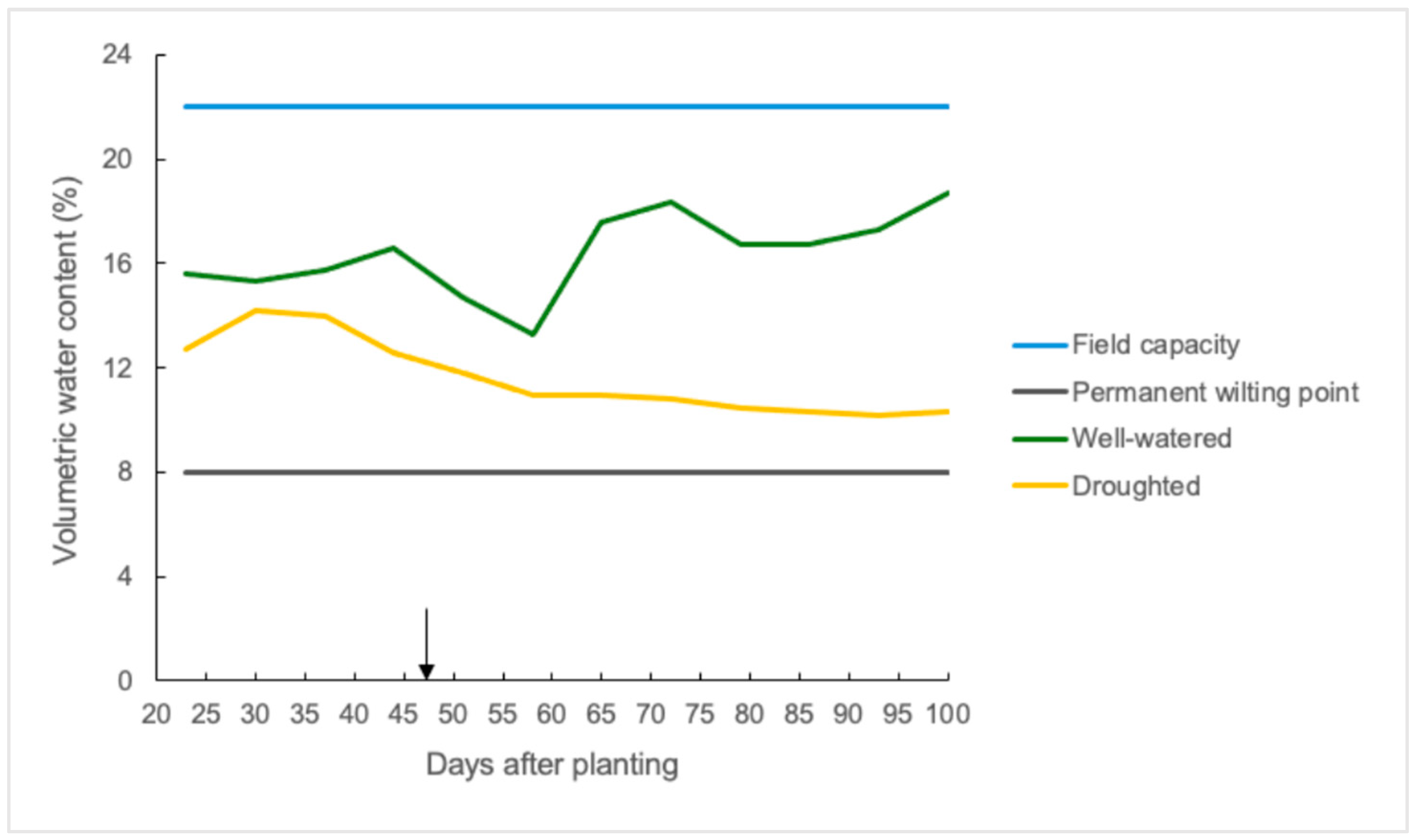 Plants 14 02633 g001 Plants 14 02633 g001