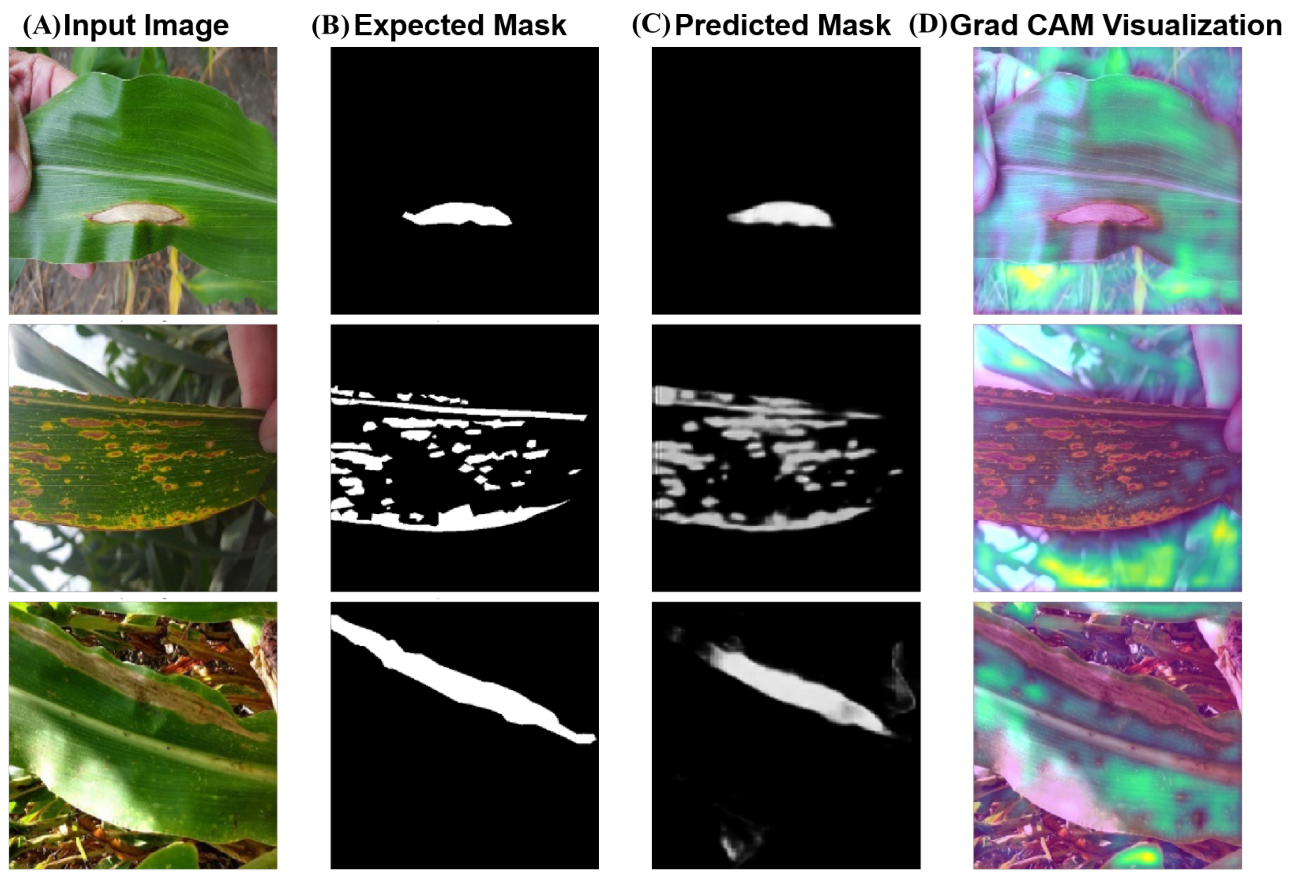 Plants 14 02634 g003