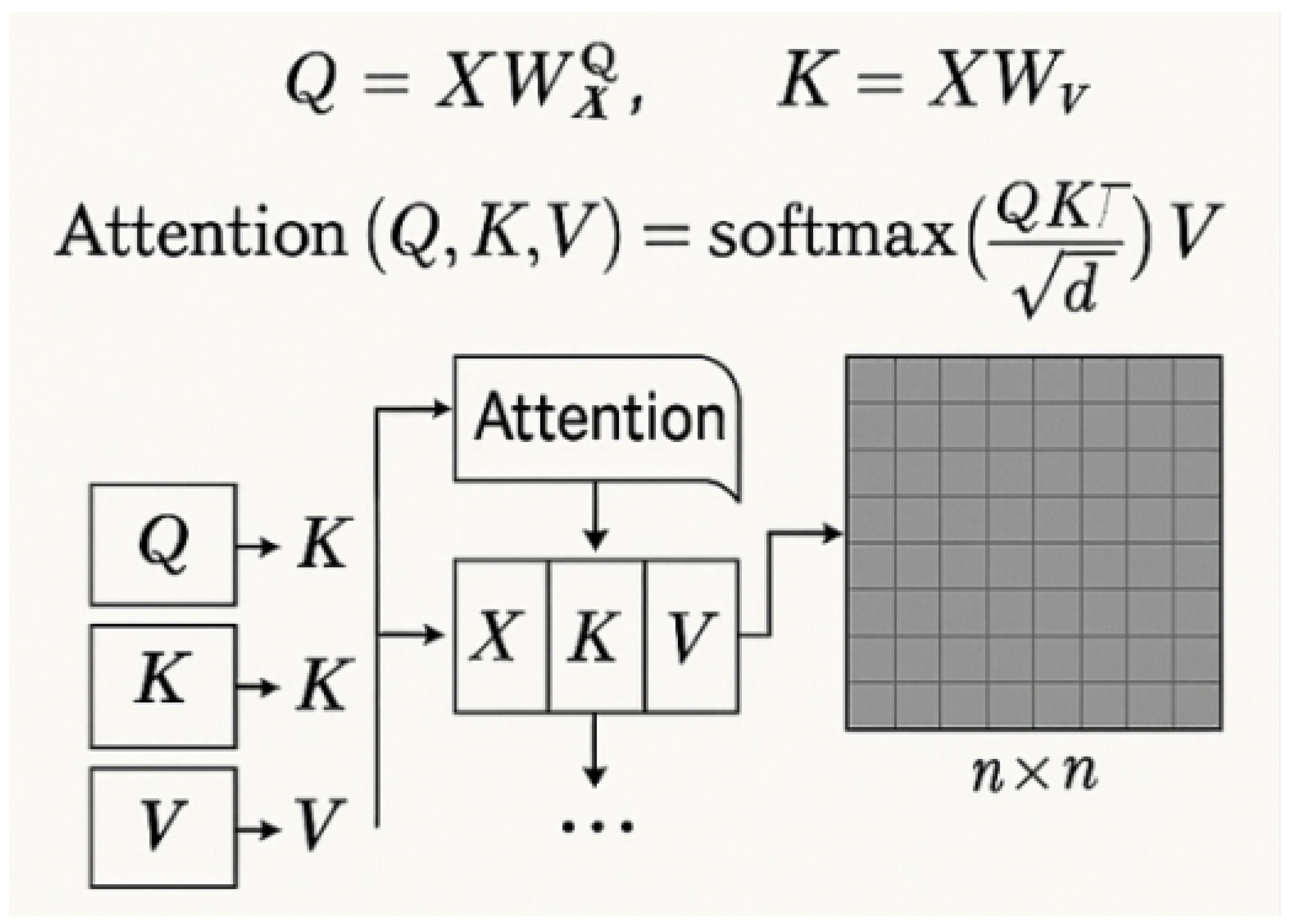 Plants 14 02634 g005