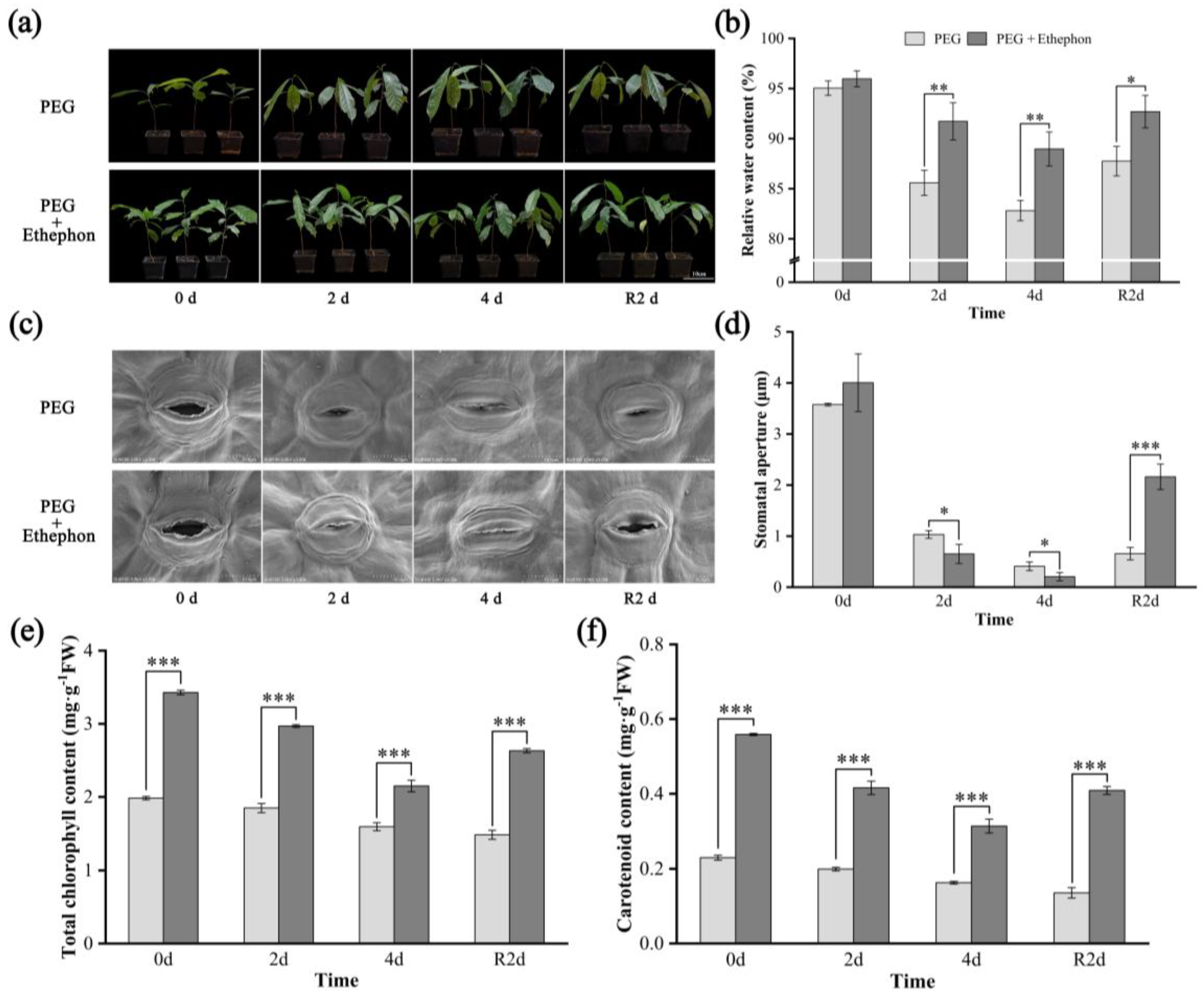Plants 14 02636 g001 Plants 14 02636 g001