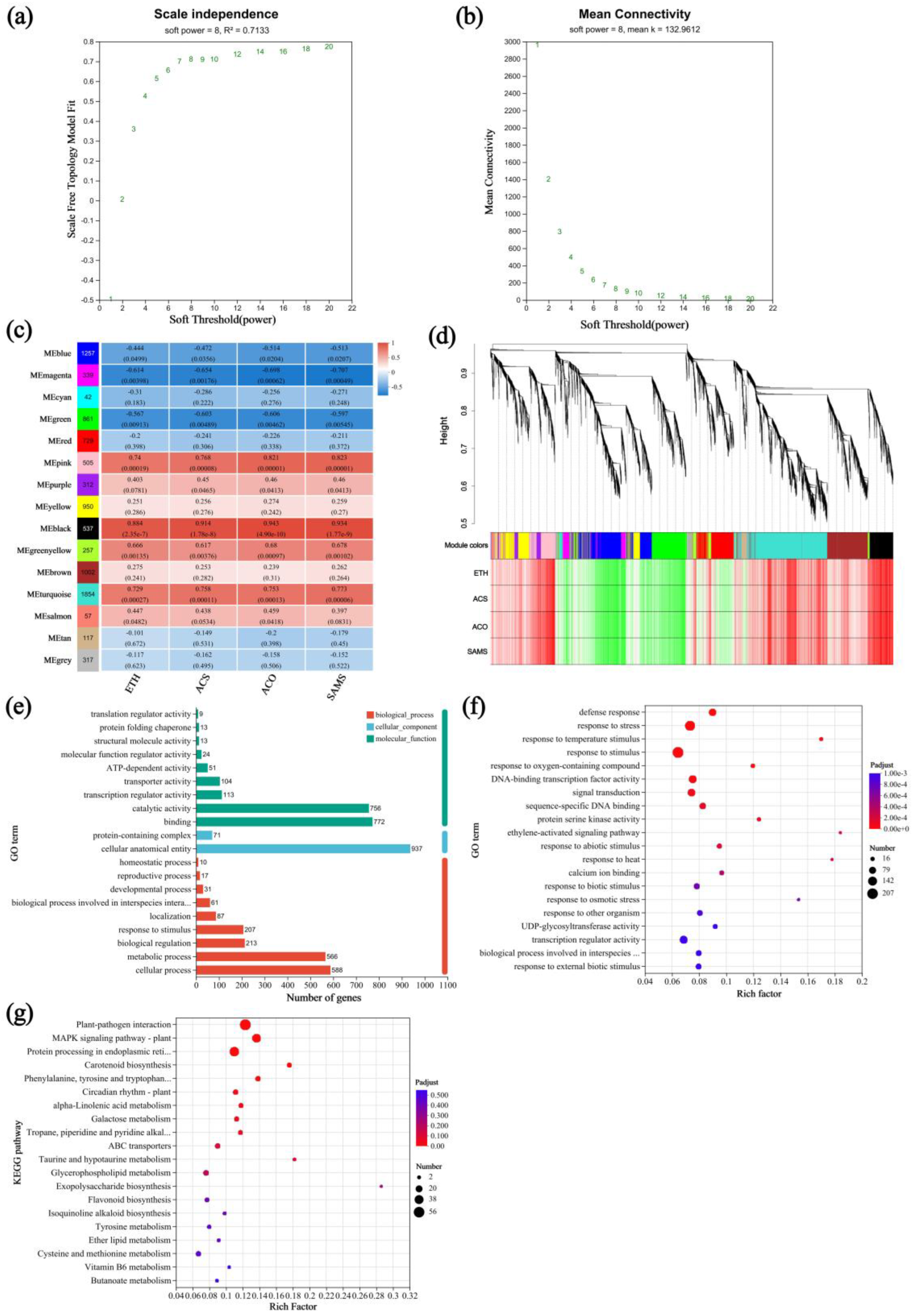 Plants 14 02636 g007 Plants 14 02636 g007