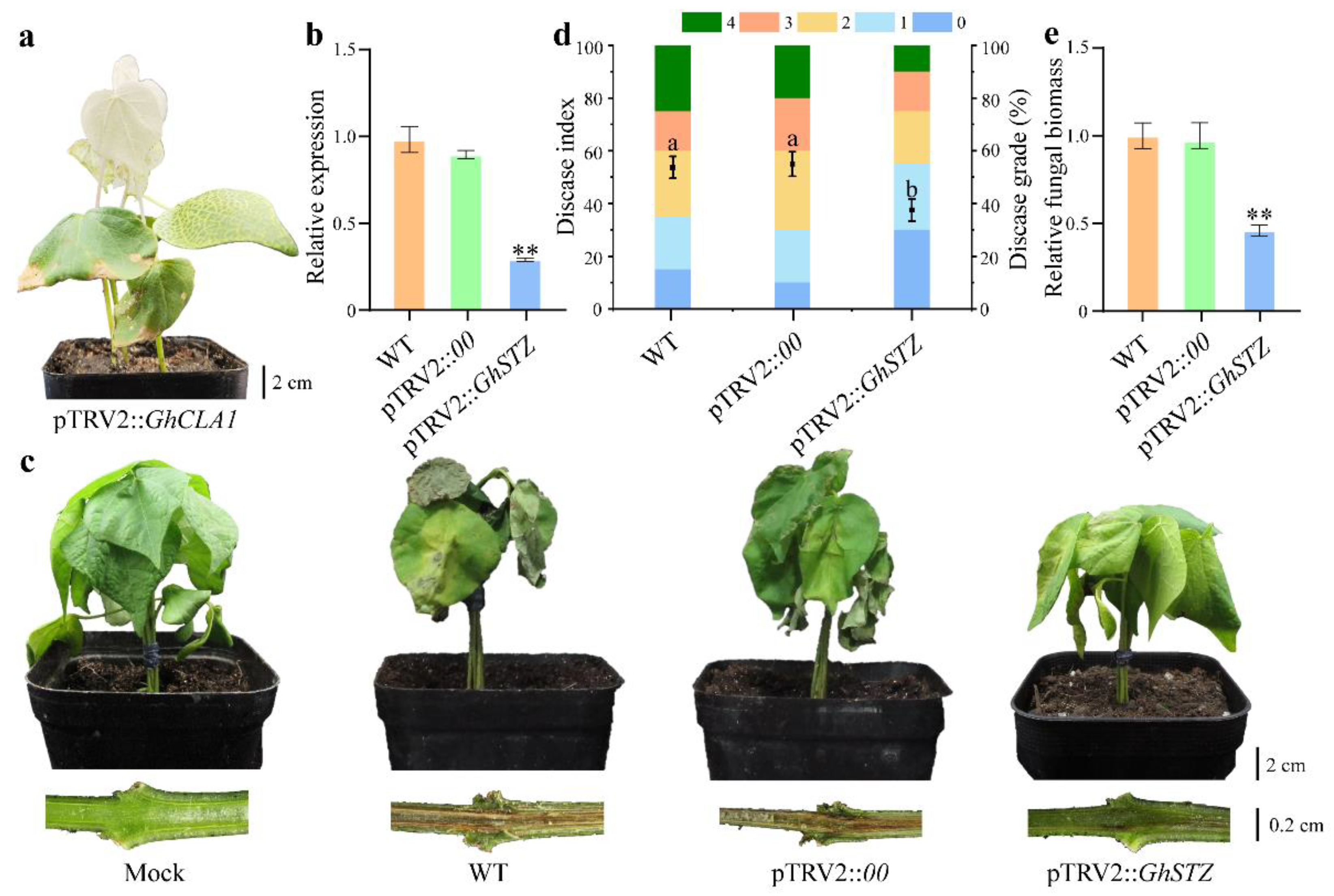Plants 14 02638 g003 Plants 14 02638 g003