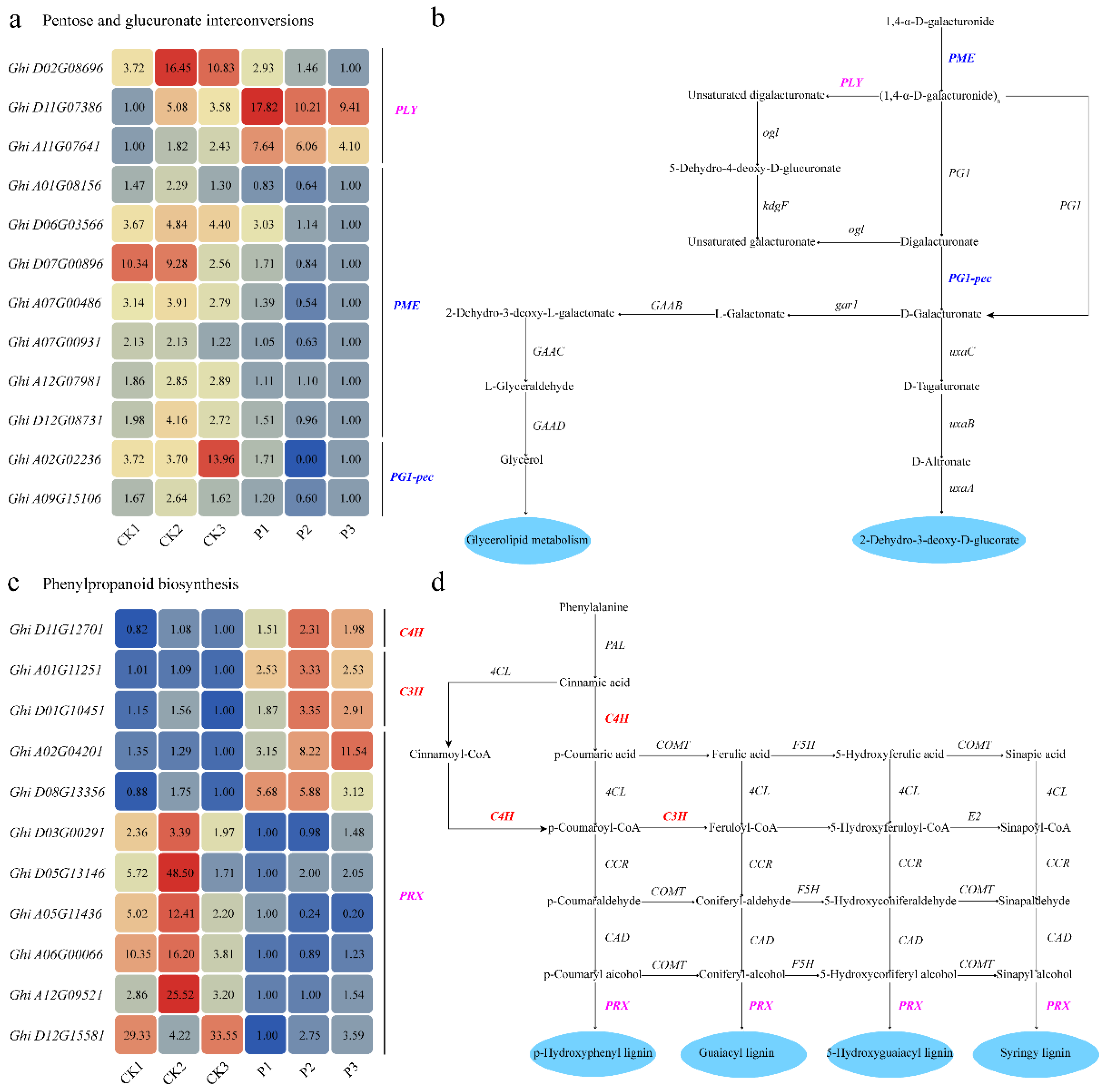 Plants 14 02638 g006 Plants 14 02638 g006