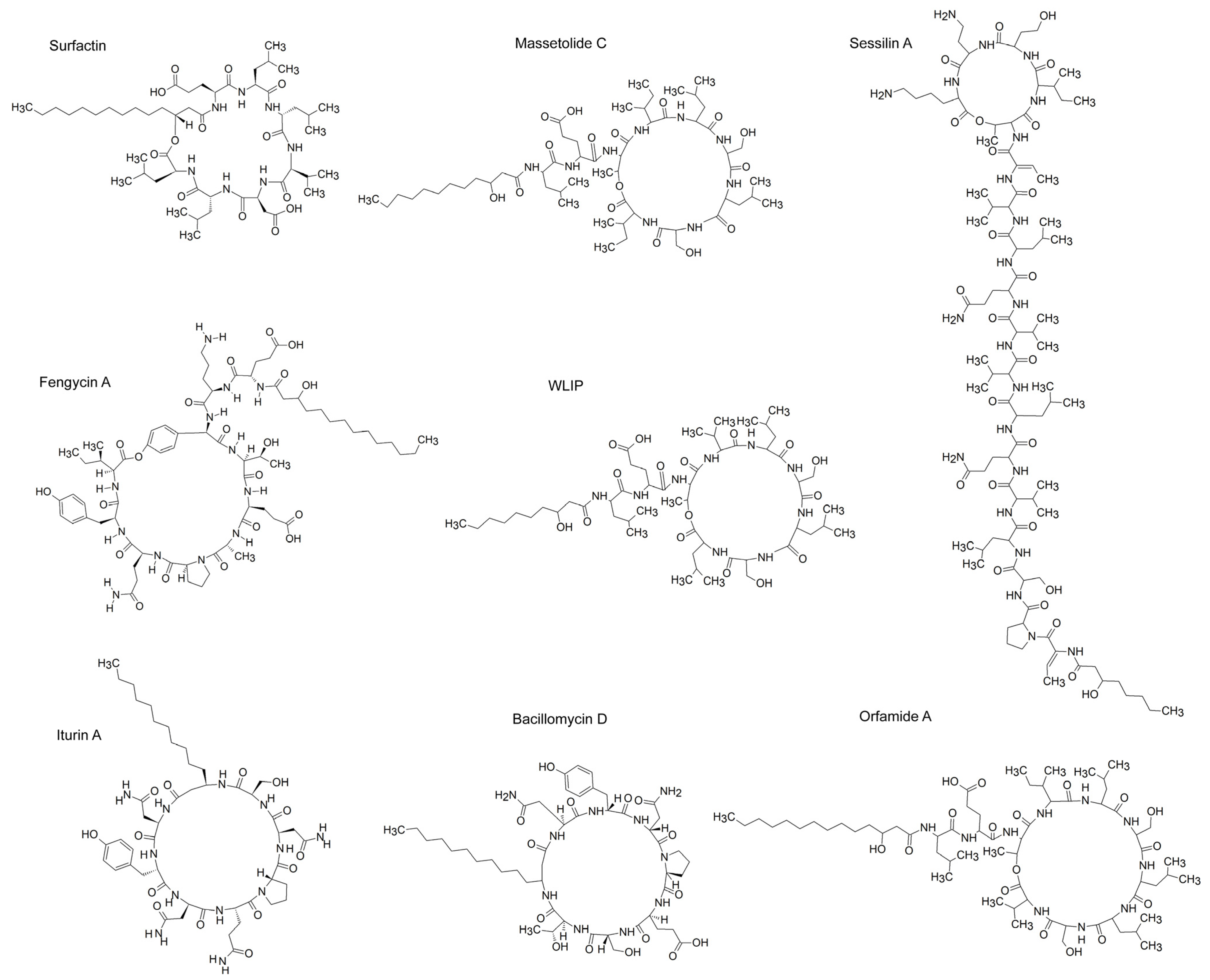 Plants 14 02644 g002 Plants 14 02644 g002