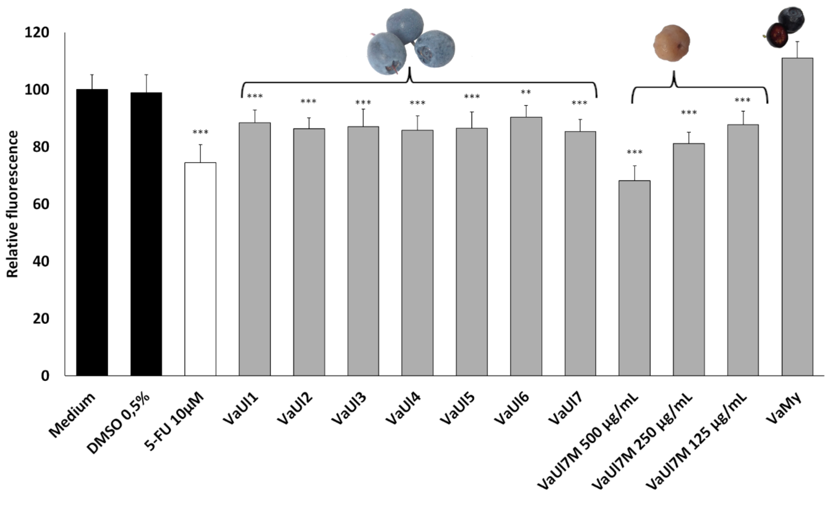 Plants 14 02645 g002 Plants 14 02645 g002