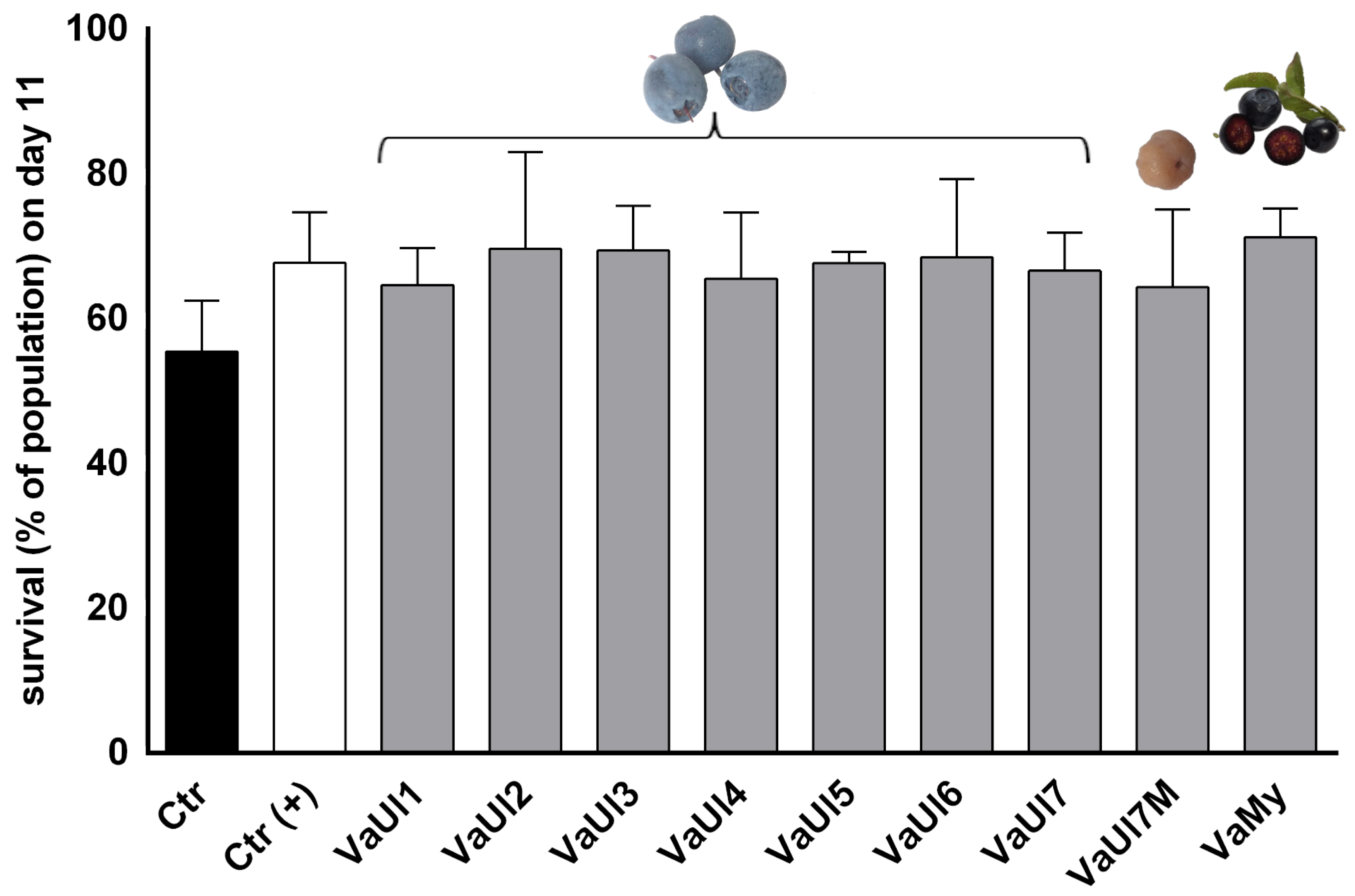 Plants 14 02645 g003 Plants 14 02645 g003