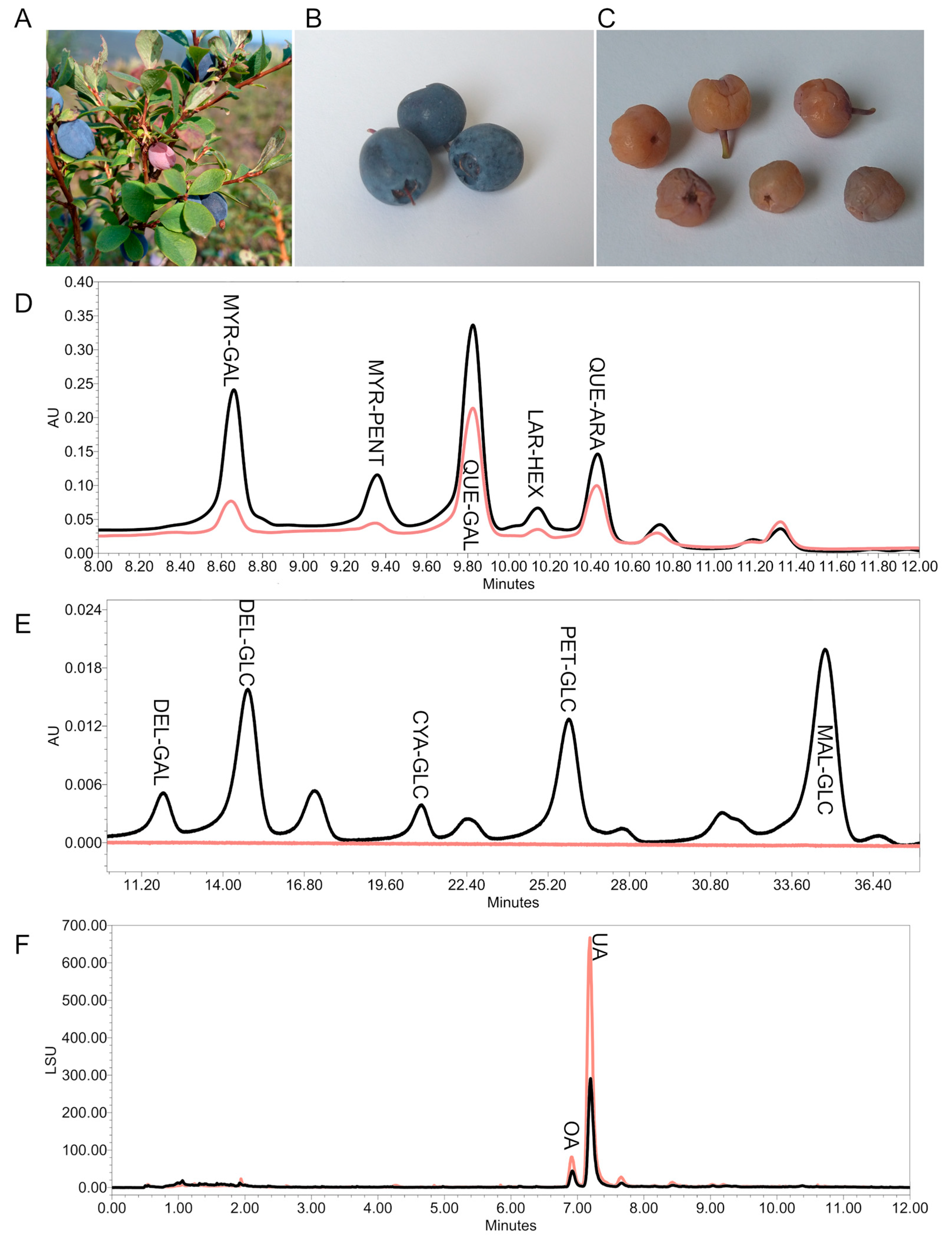 Plants 14 02645 g005 Plants 14 02645 g005
